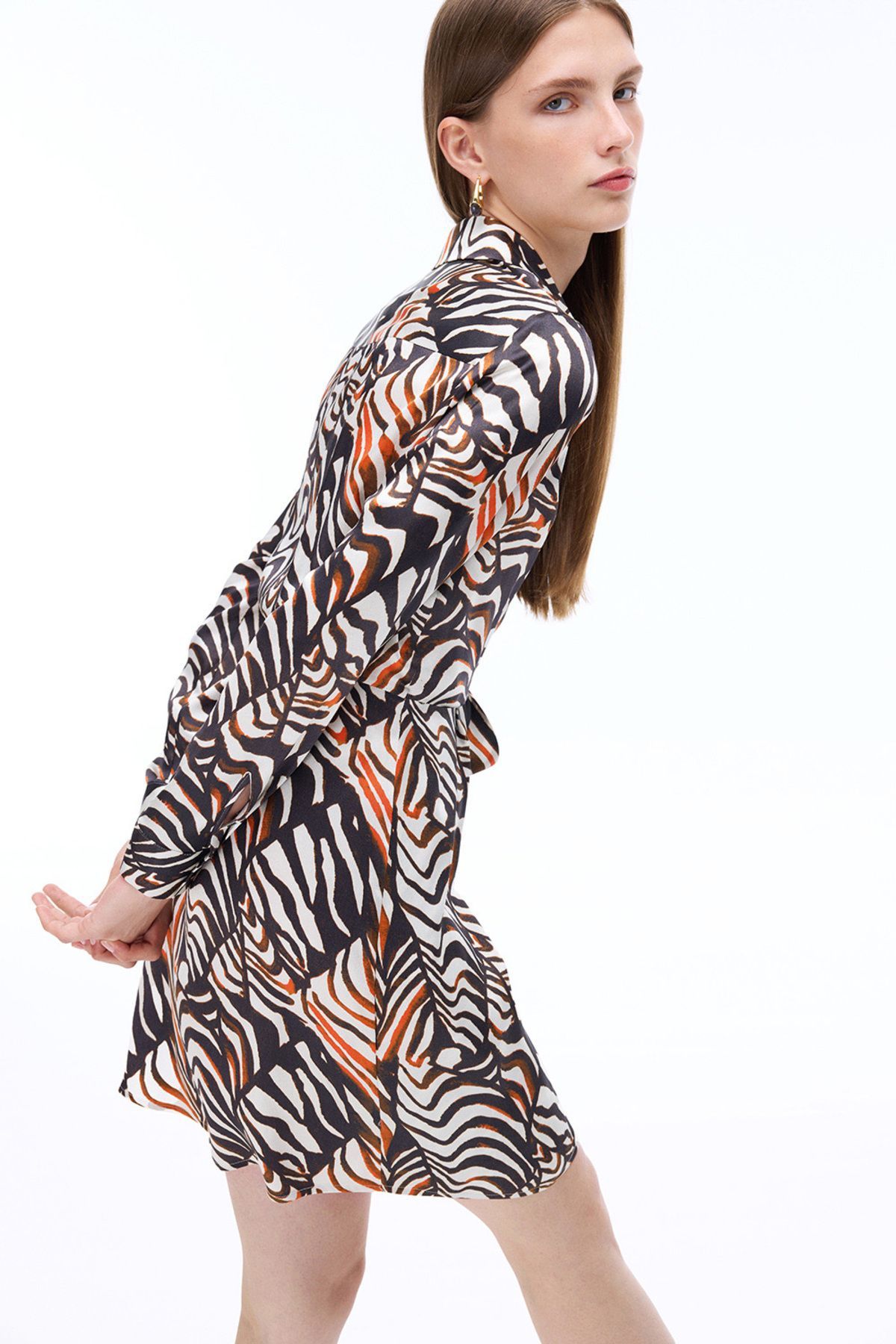 Perspective-Suadade Regular Fit Zebra Patterned Mini Size Multicolored Dress 3