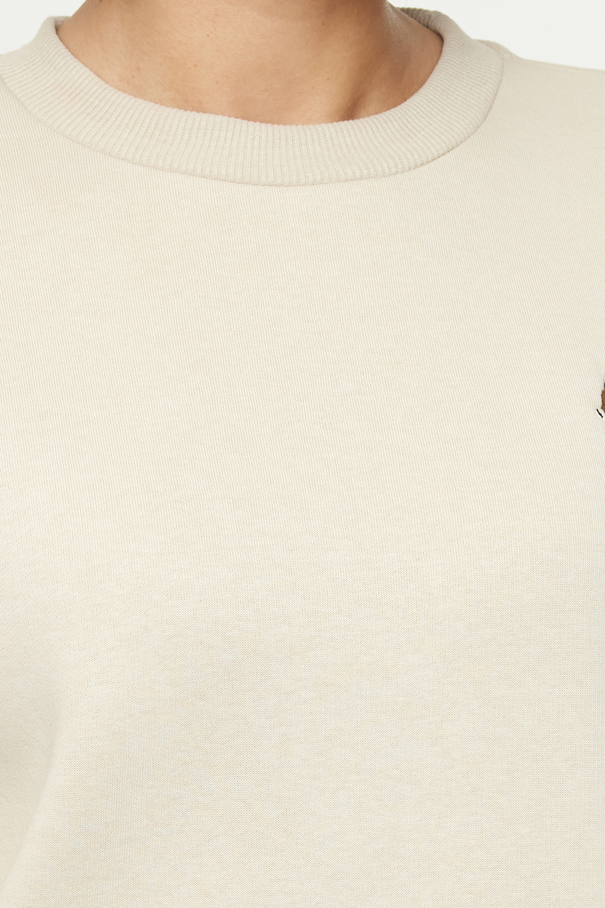 Trendyolmilla  Taş Animal Nakışlı Regular/Normal Kalıp Kalın İçi Polarlı Örme Sweatshirt TWOAW24SW00196 - Görsel 3