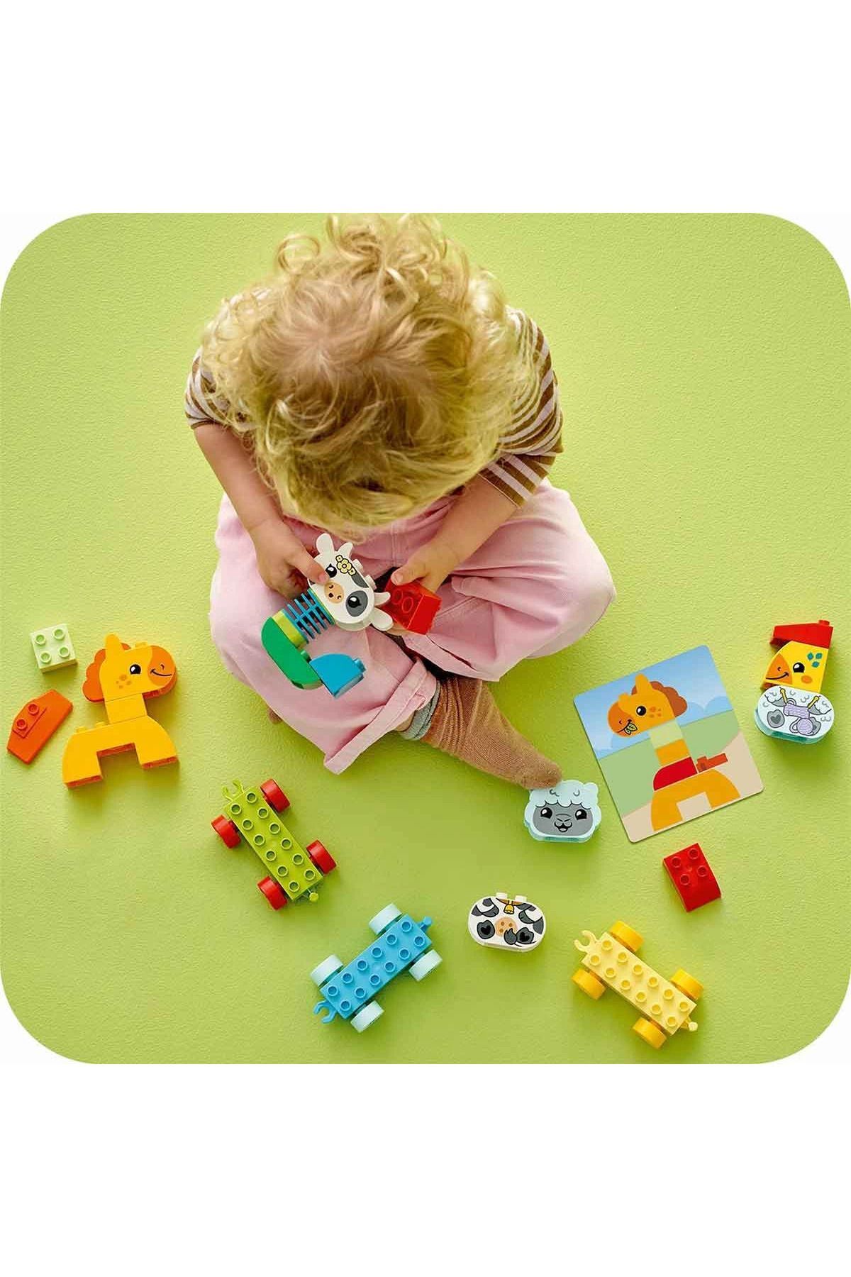 مدل ۱۰۴۱۲ با قطار حیوانات