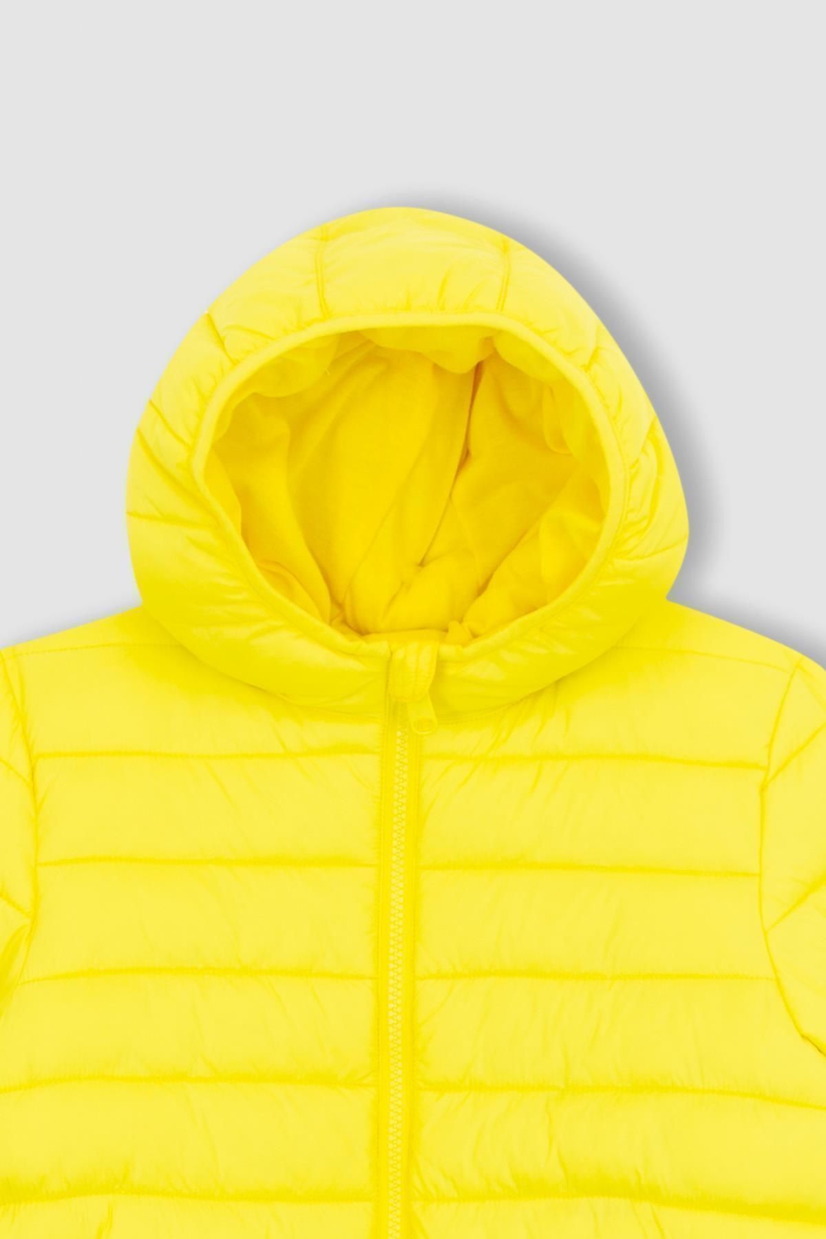DeFacto-Boys - Basic down Jacket with Water Repellent, Hood and Pockets Y4562A623Sp 6
