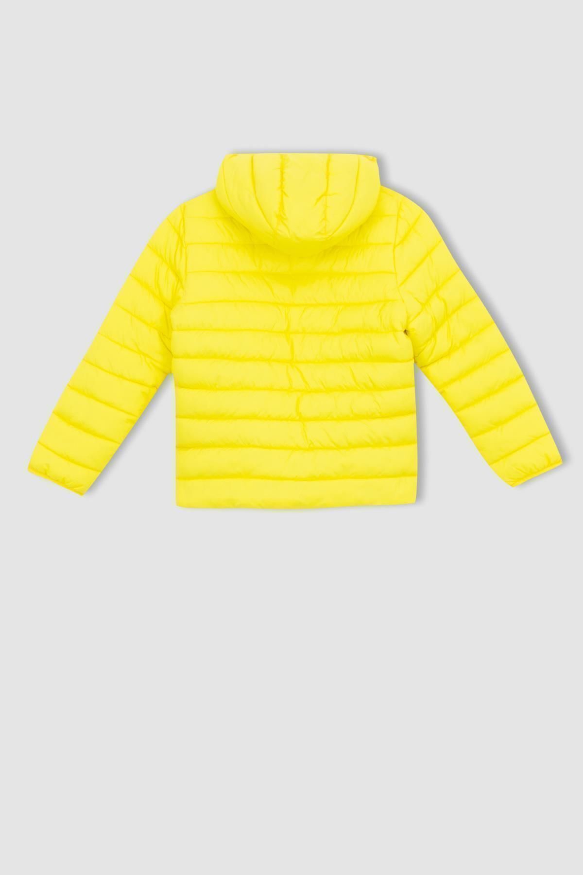 DeFacto-Boys - Basic down Jacket with Water Repellent, Hood and Pockets Y4562A623Sp 7