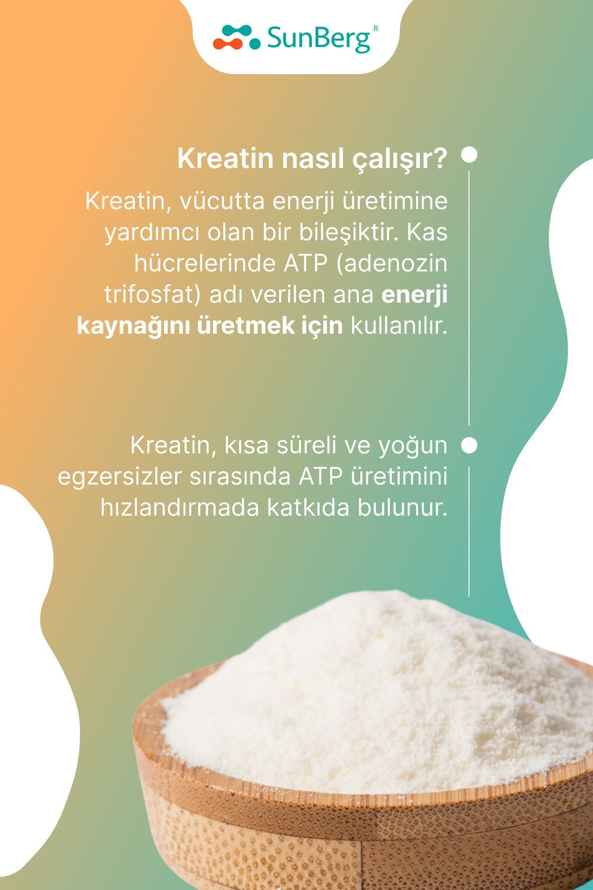 SunBerg-Creatine Monohydrate, Creatine HCL and Tricreatin Malate - Creatine Complex 6