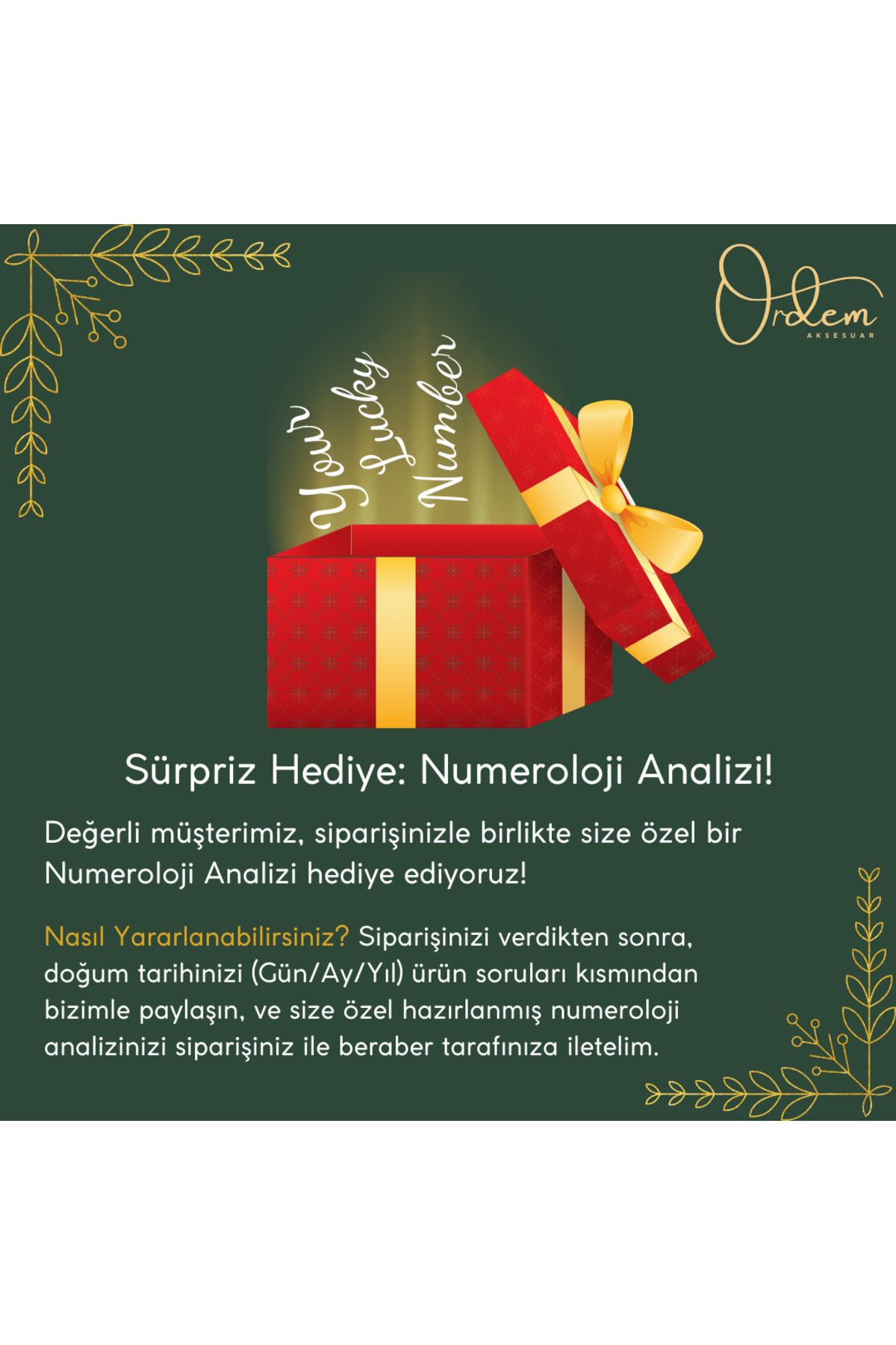 Aytaşı Bileklik & Çelik Kolye Doğal Taş Set Ürün (Kadın Sağlığı & Hormonal Denge) 3