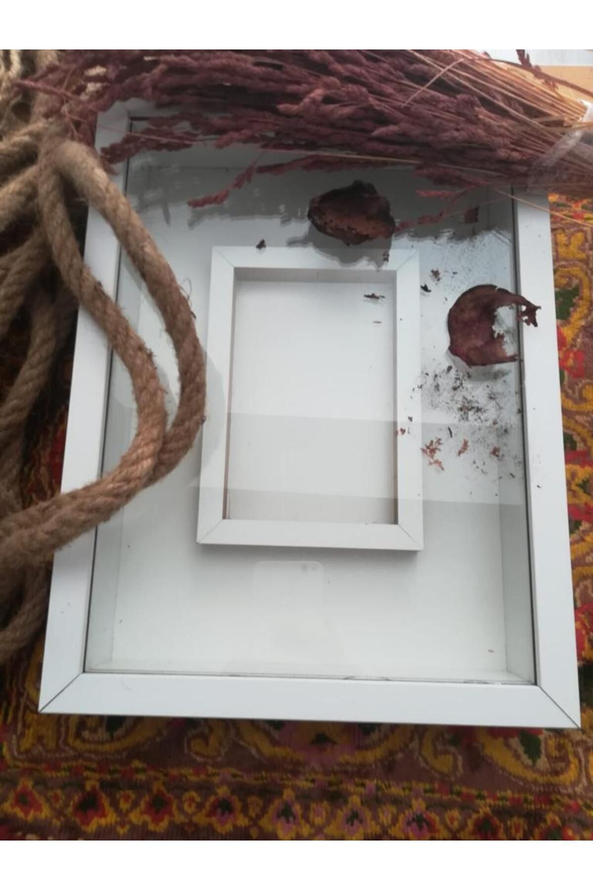 Memory Frame 34x25 Moving Glass