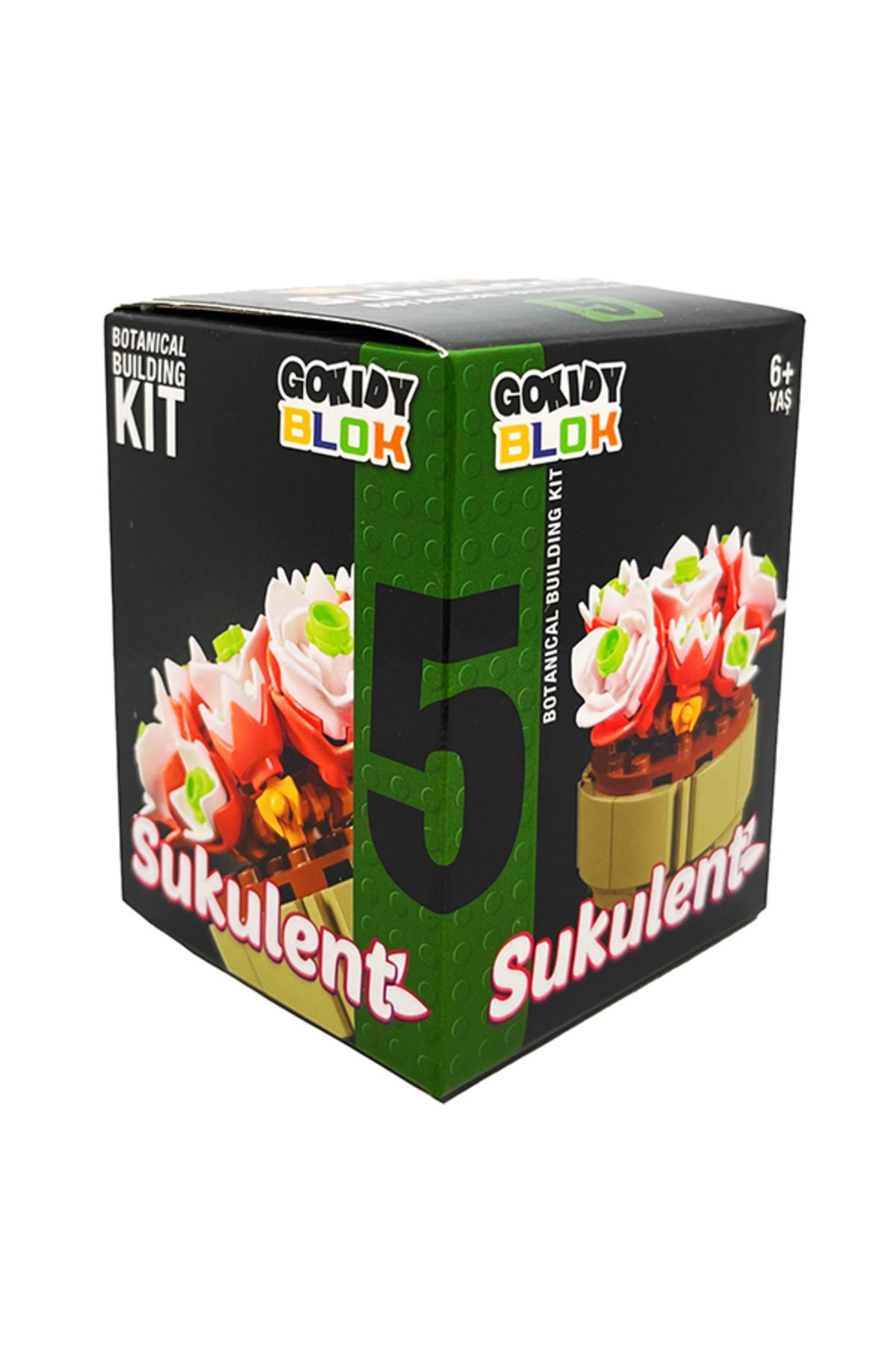 Gokidy-Series Block Succulent - 5 2
