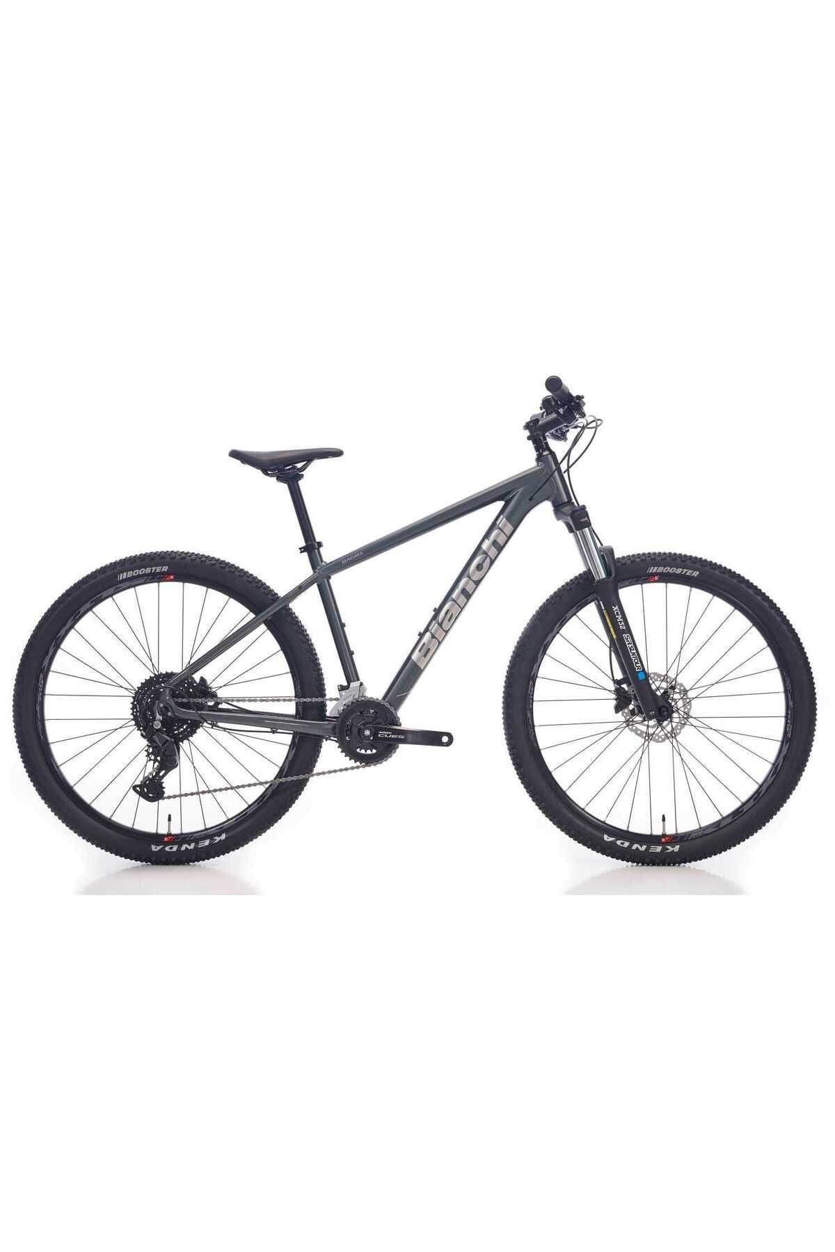 Bianchi Magma 29S Cues Dağ Bisikleti (Gri-Gümüş) 48