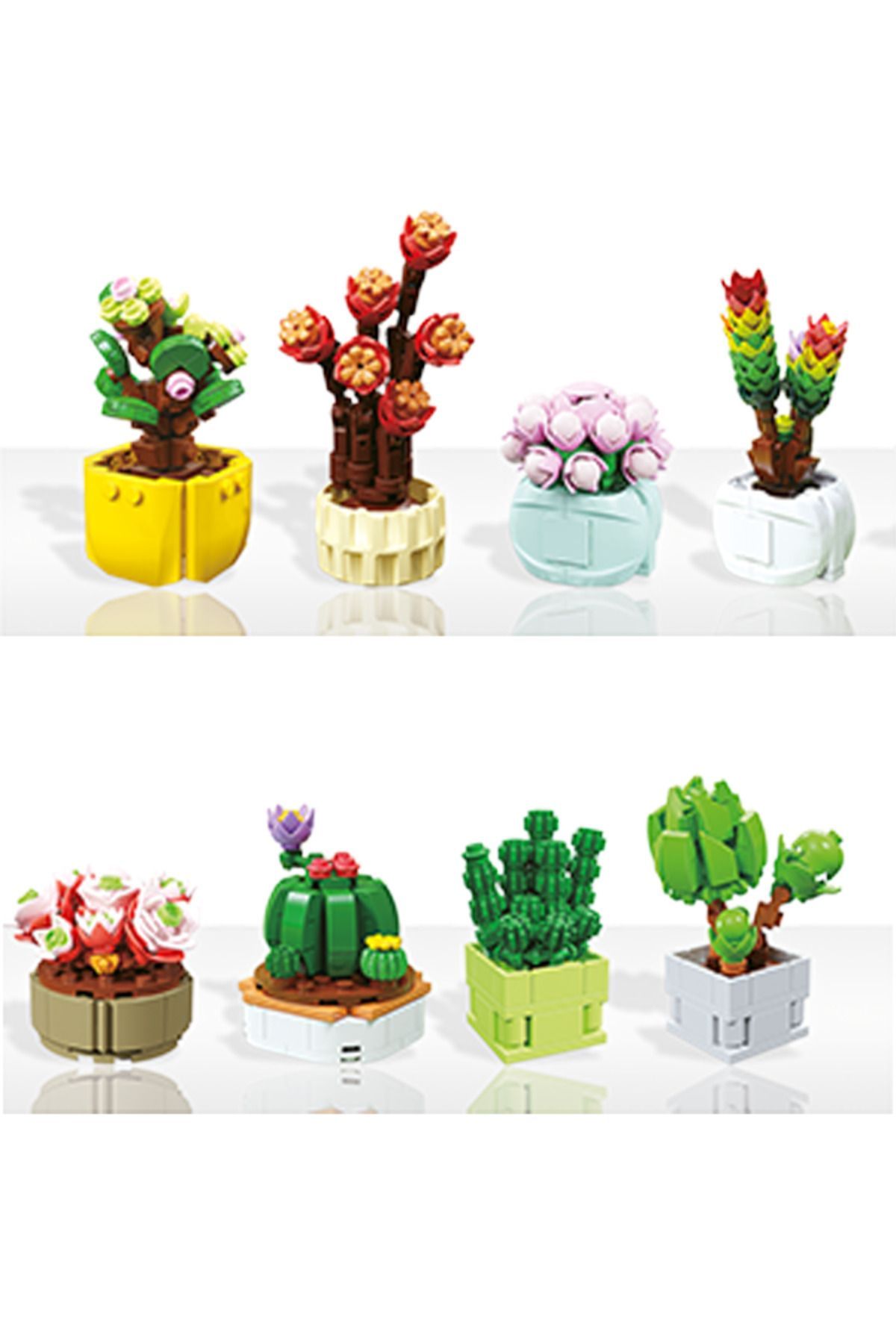 Gokidy-Series Block Succulent - 5 4