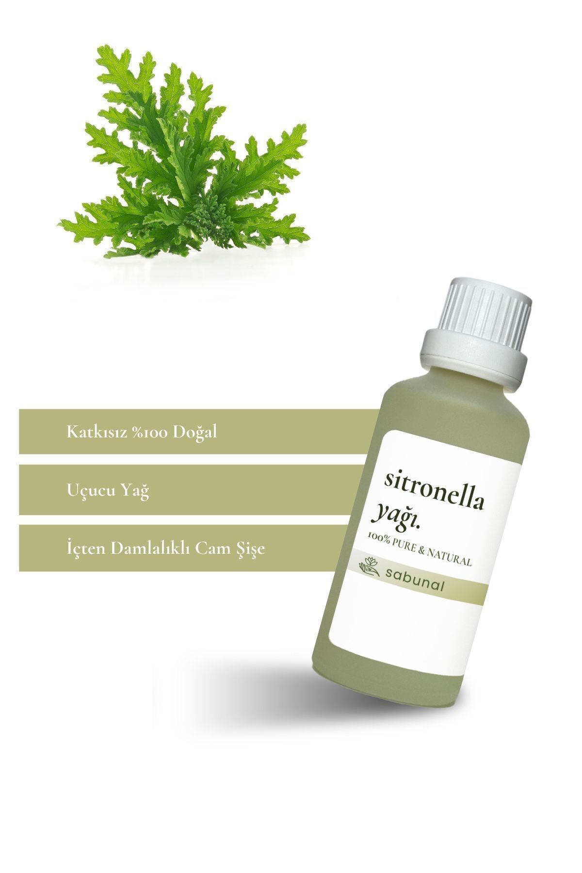 روغن سیترونلا (سیترونلا) 50 میلی لیتر روغن معطر درمانی طبیعی اسانس دافع مگس sabunal
