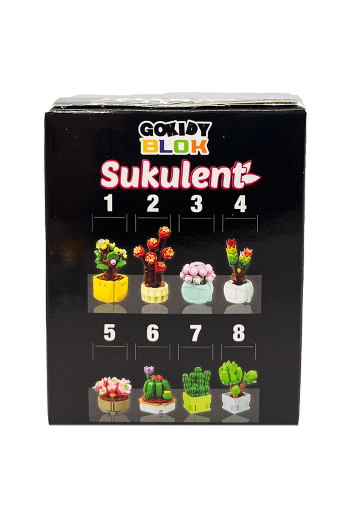 Gokidy-Series Block Succulent - 5 3