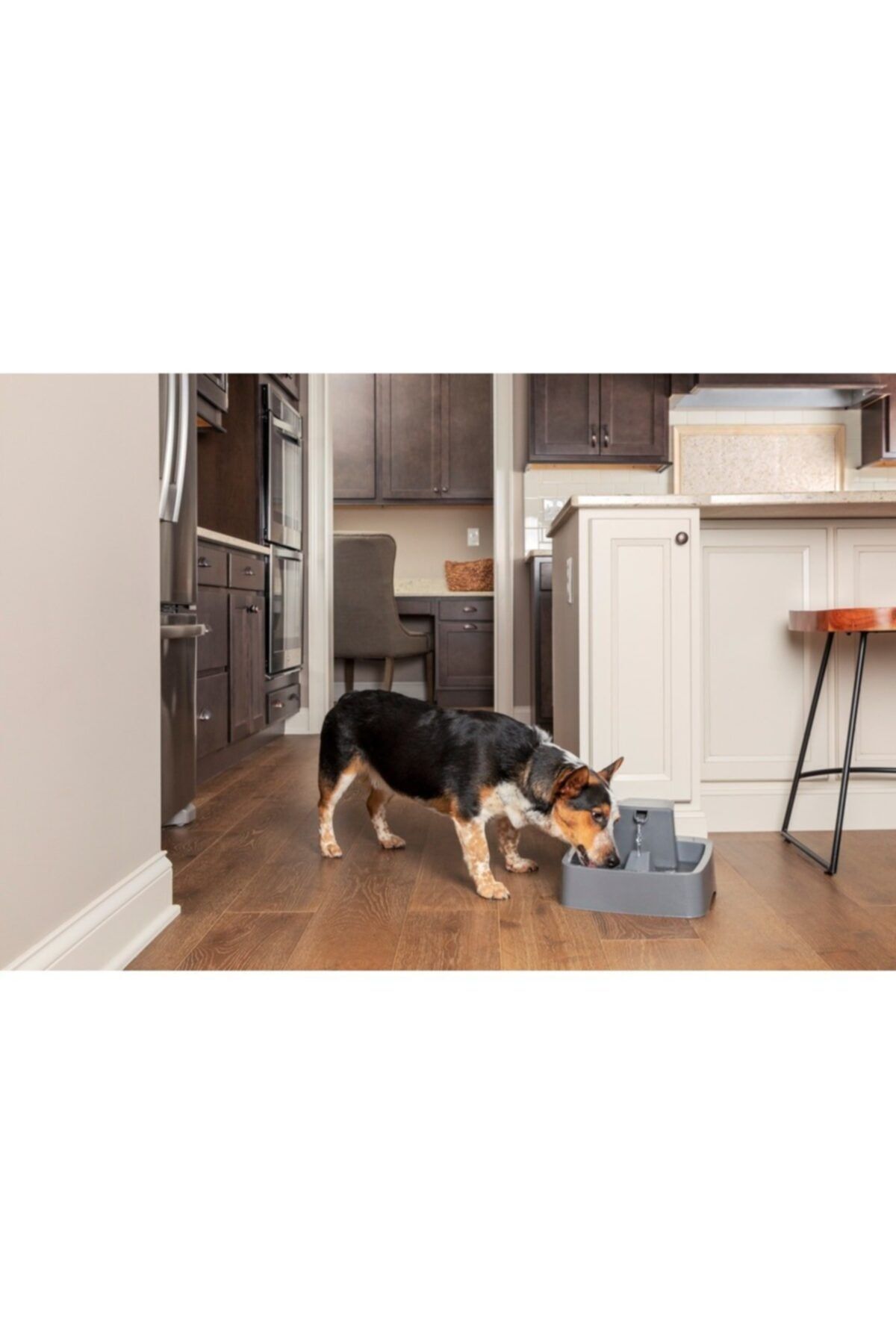 Petsafe drinkwell 2 on sale gallon pet fountain