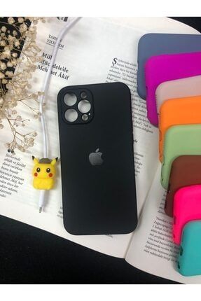 Iphone 12 Pro Max Uyumlu Logolu Lansman Kılıf Ve Kablo Koruyucu 12PMAXKKSET
