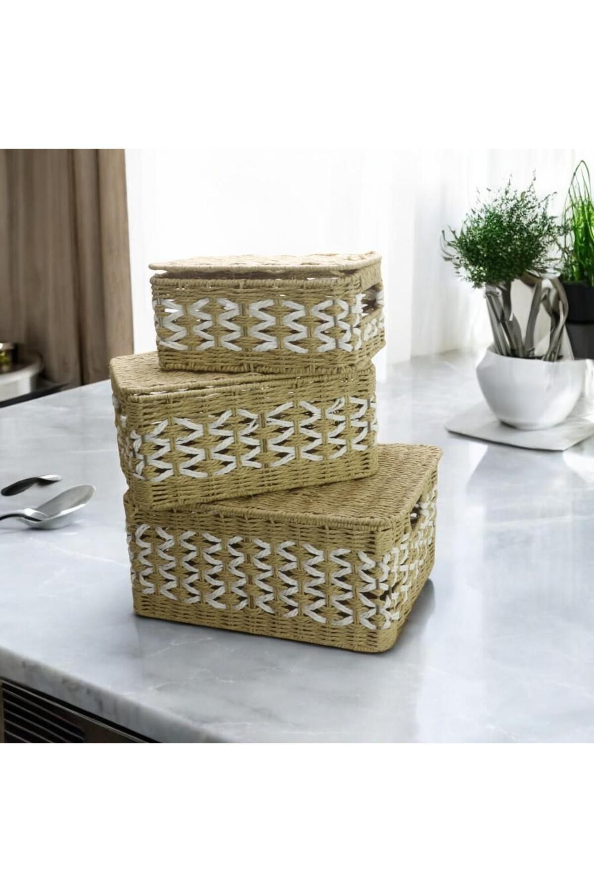 T.Concept-Rectangular Basket - Decorative, Durable and Wicker Lid, Multi-Purpose, Large Size (L) 5