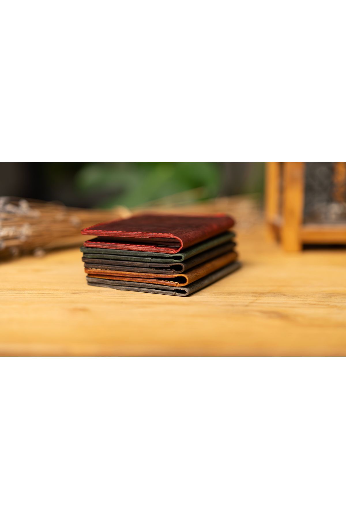 silenos-Bulug Passport Case 2