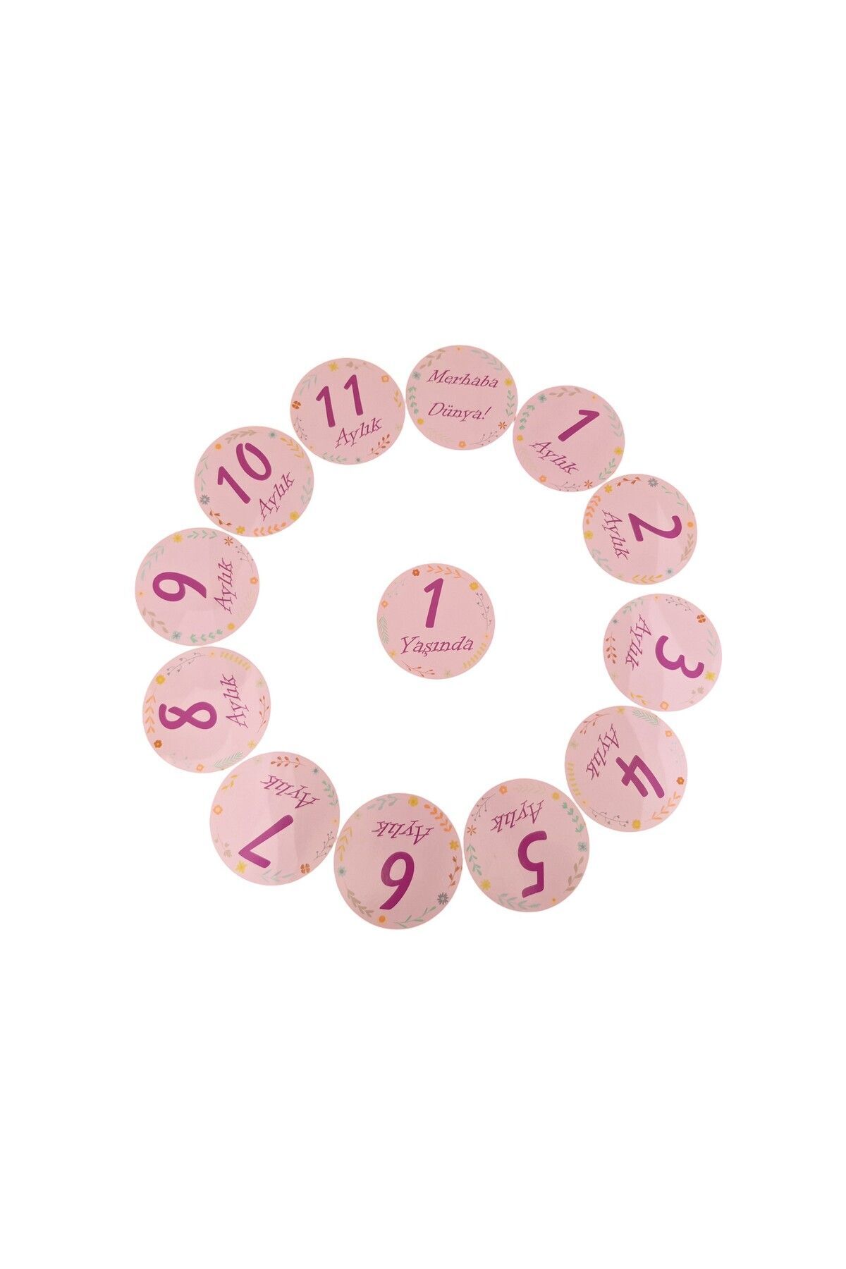 Fizello Bebek Anı Kartları Aylık 13 Parça Set fotoğrafı 3 (önizleme)