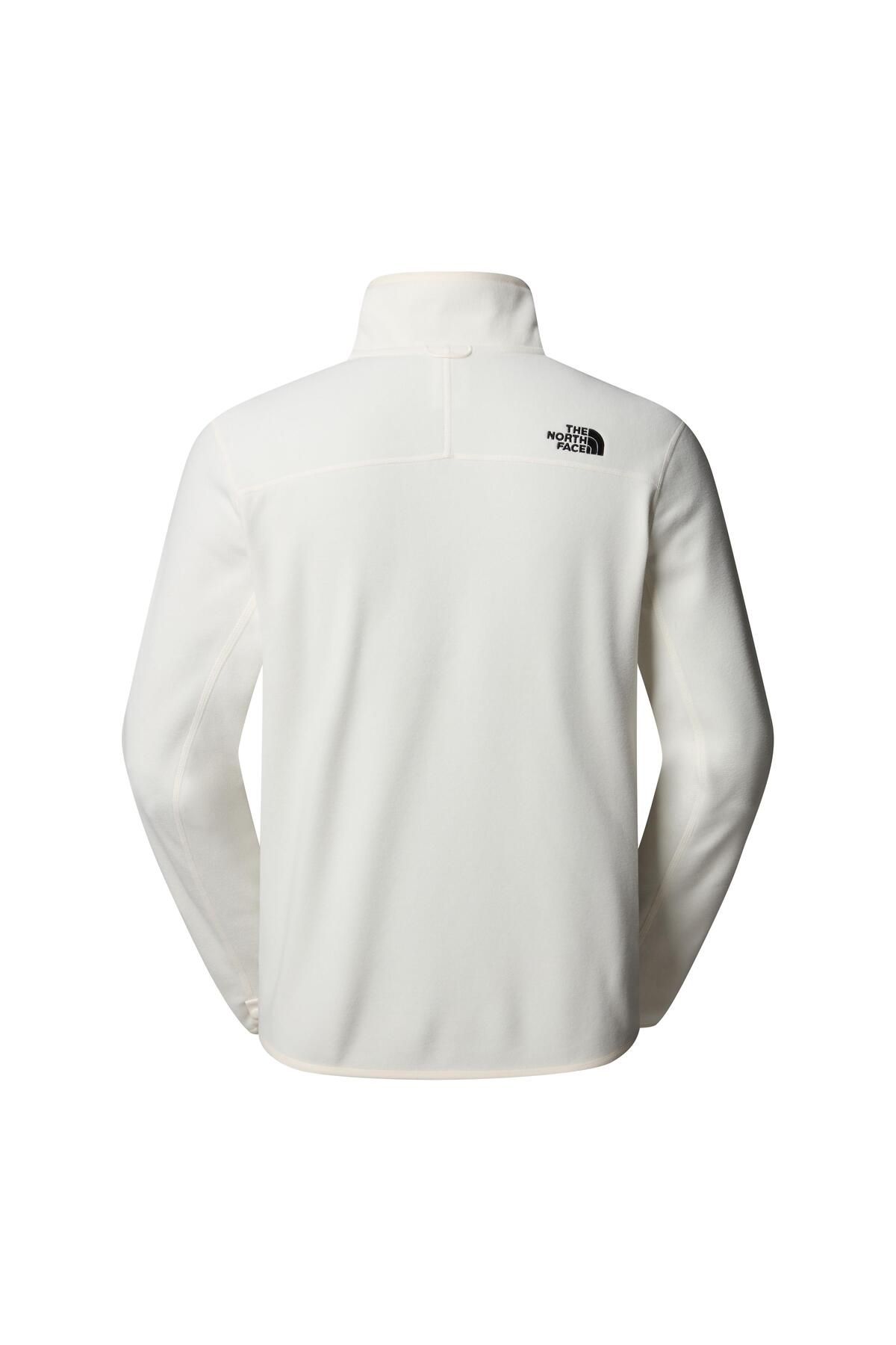 THE NORTH FACE-M 100 Glacier Full Zip - Eu Men's Fleece 6