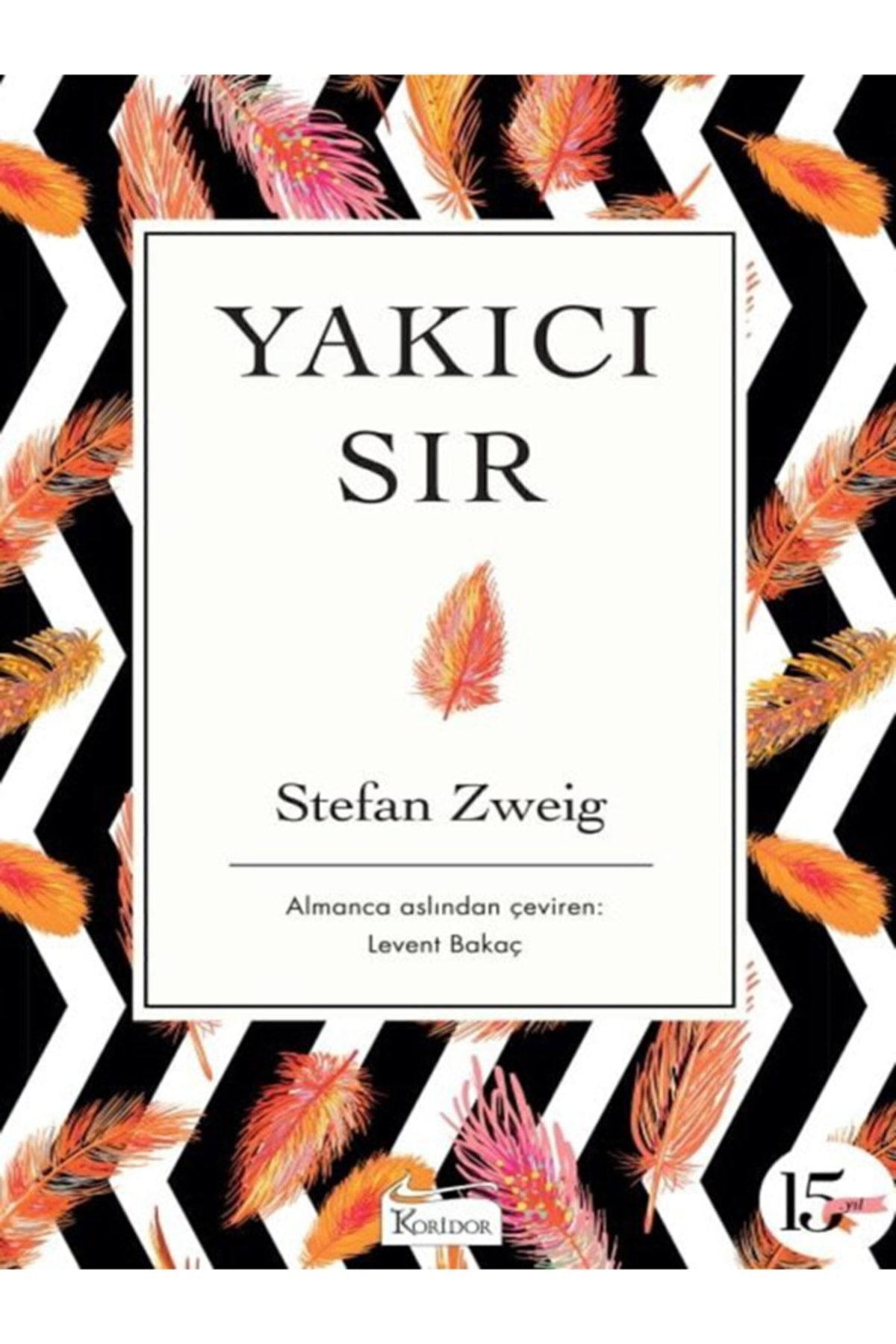 40 - Yakıcı Sır / Bez Ciltli Dünya Klasikleri