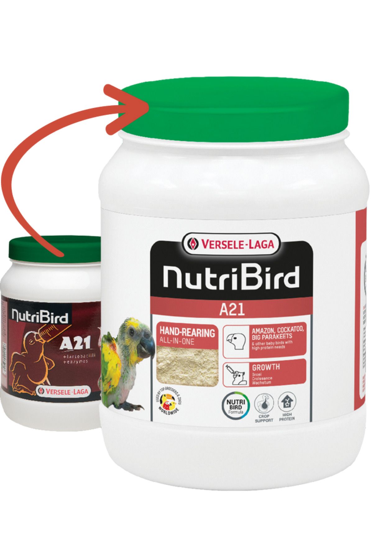 Versele Laga Nutrıbırd A21 Elle Yetiştirme Maması 800g 492113