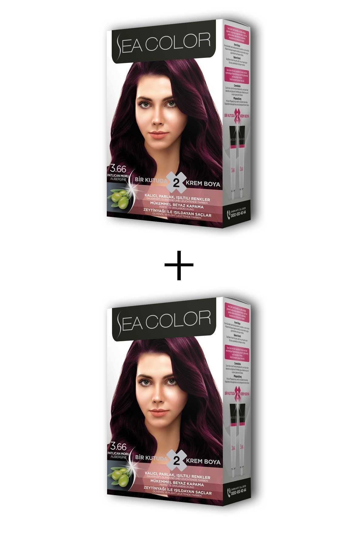 Sea Color 2X2 Tüp Krem Saç Boyası Seti Patlıcan Moru No:3.66