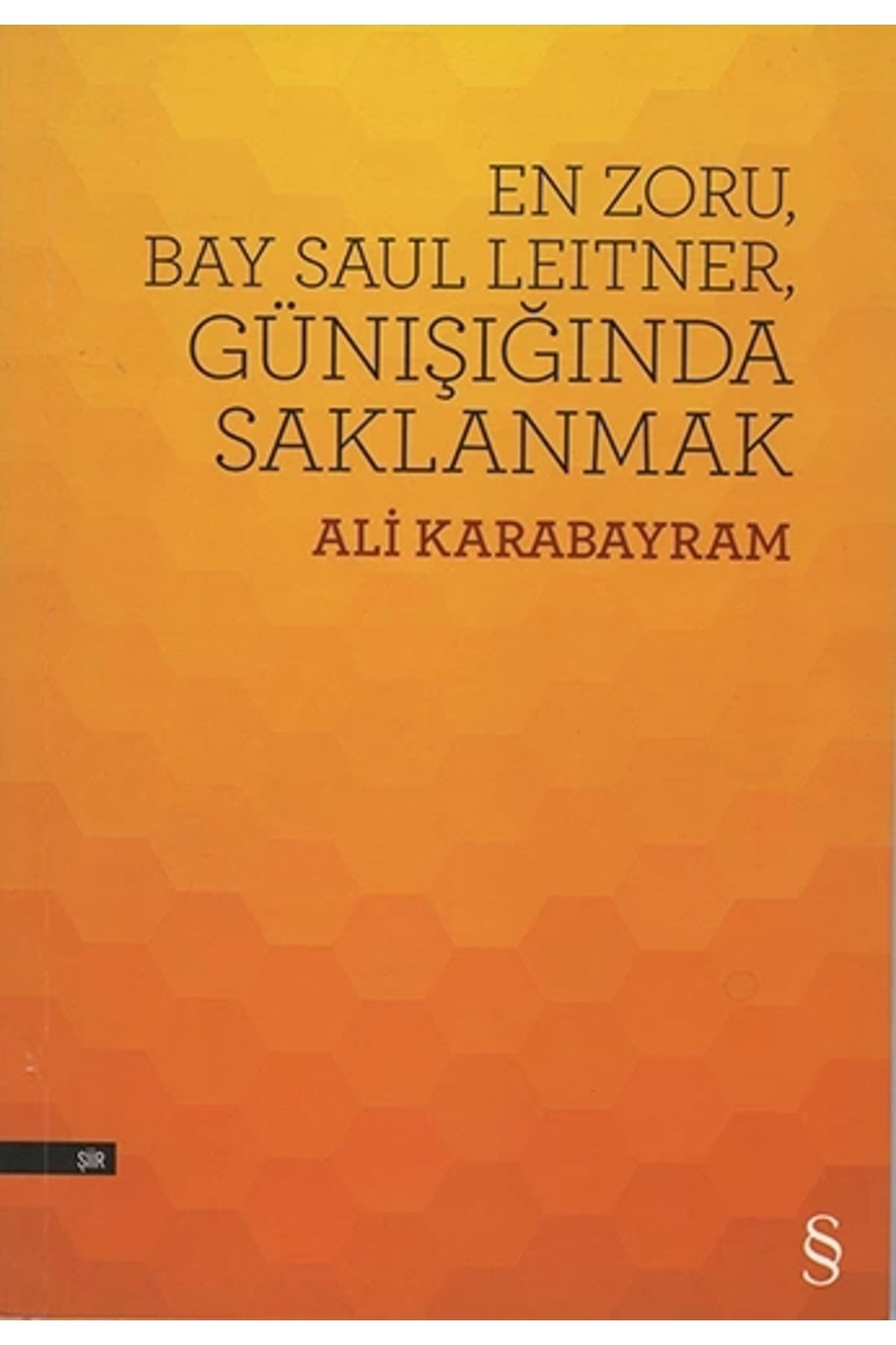 Zahrada Yayınları En Zoru, Bay Saul Leitner, Günışığında Saklanmak