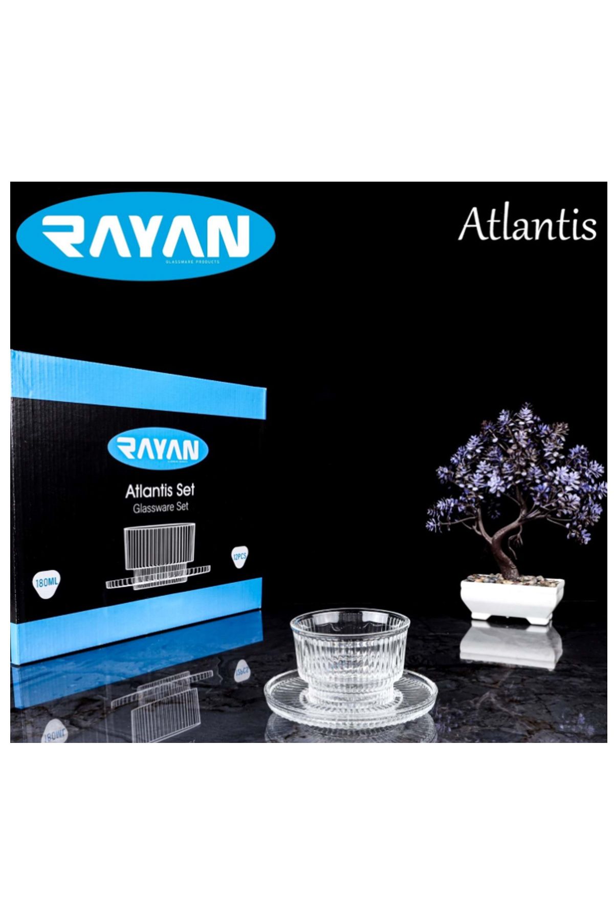 biltekno Rayan Atlantis 6'lı Çerez Seti