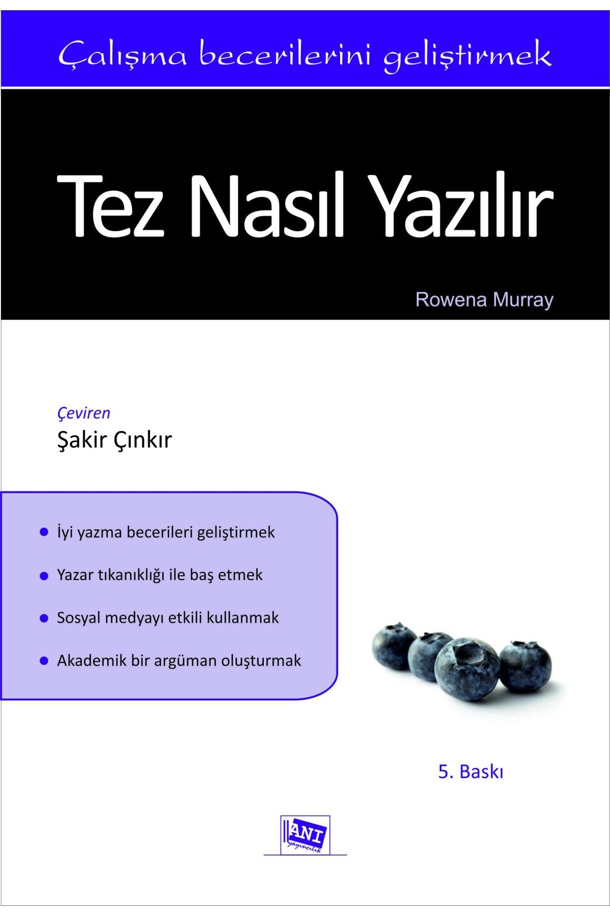 Anı Yayıncılık Tez Nasıl Yazılır