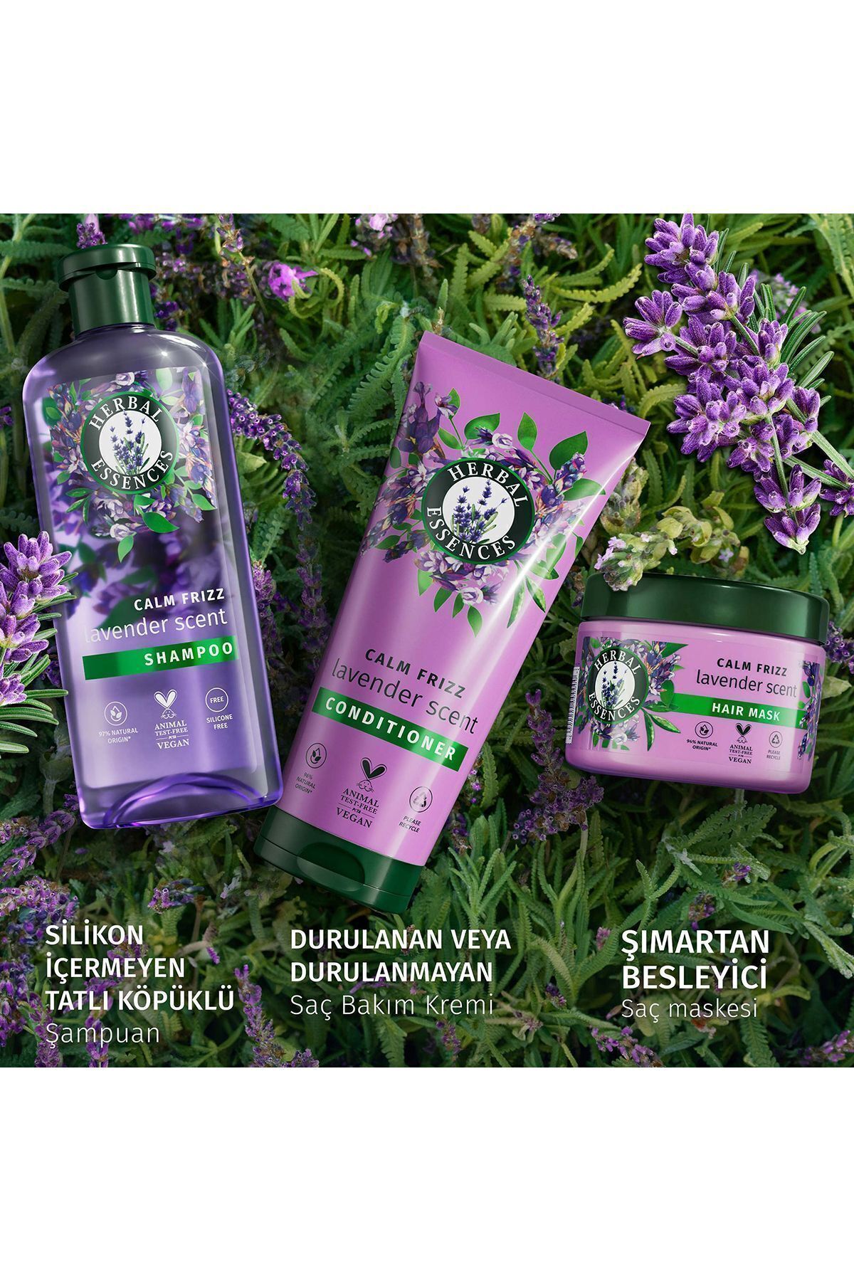 شامپو ضد وز با عطر اسطوخودوس 350ml