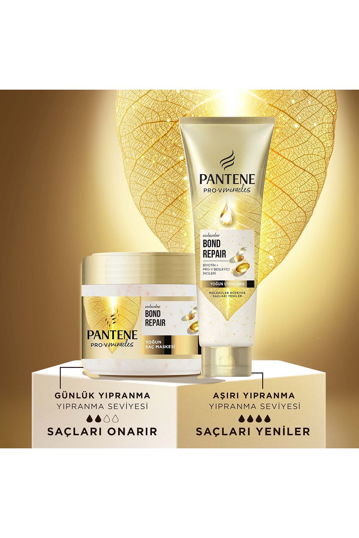PRO-V MIRACLES Molecular Bond Repair Yoğun Uygulama Kürü Pro-V Besleyici İnci ile 150ML 2 ADET — 2LM — تصویر 8 از 8