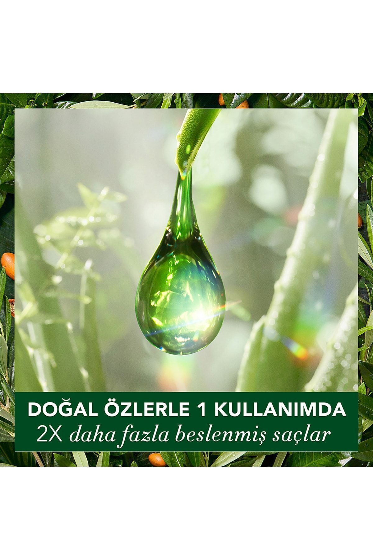 Herbal Essences-إصلاح شامبو إيسنشيز - 250 مل بأزرار لمشاكل ريبسونز 8