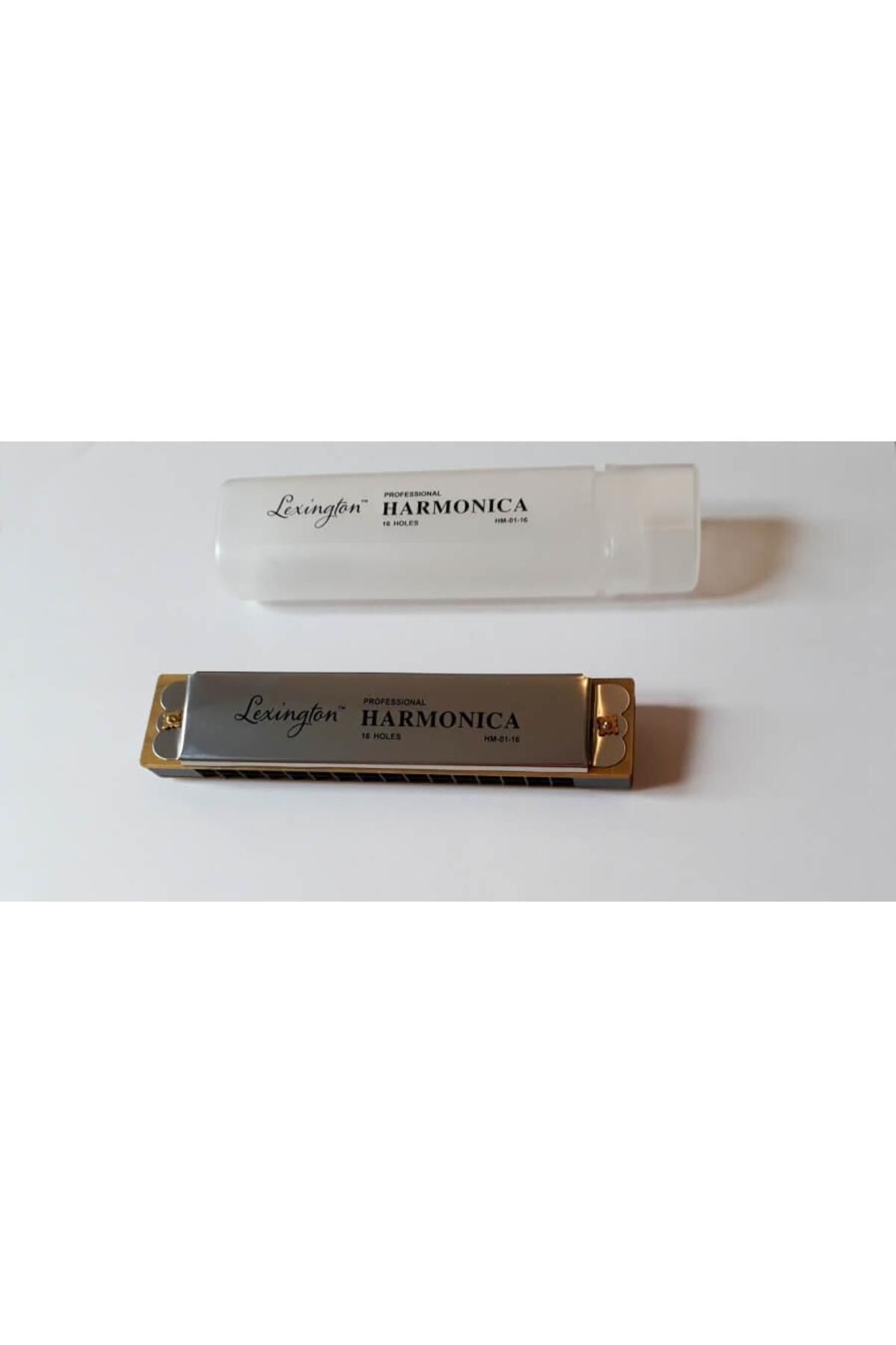 CREMONIA Hm0116 Professional Harmonica Mızıka 16 Delik