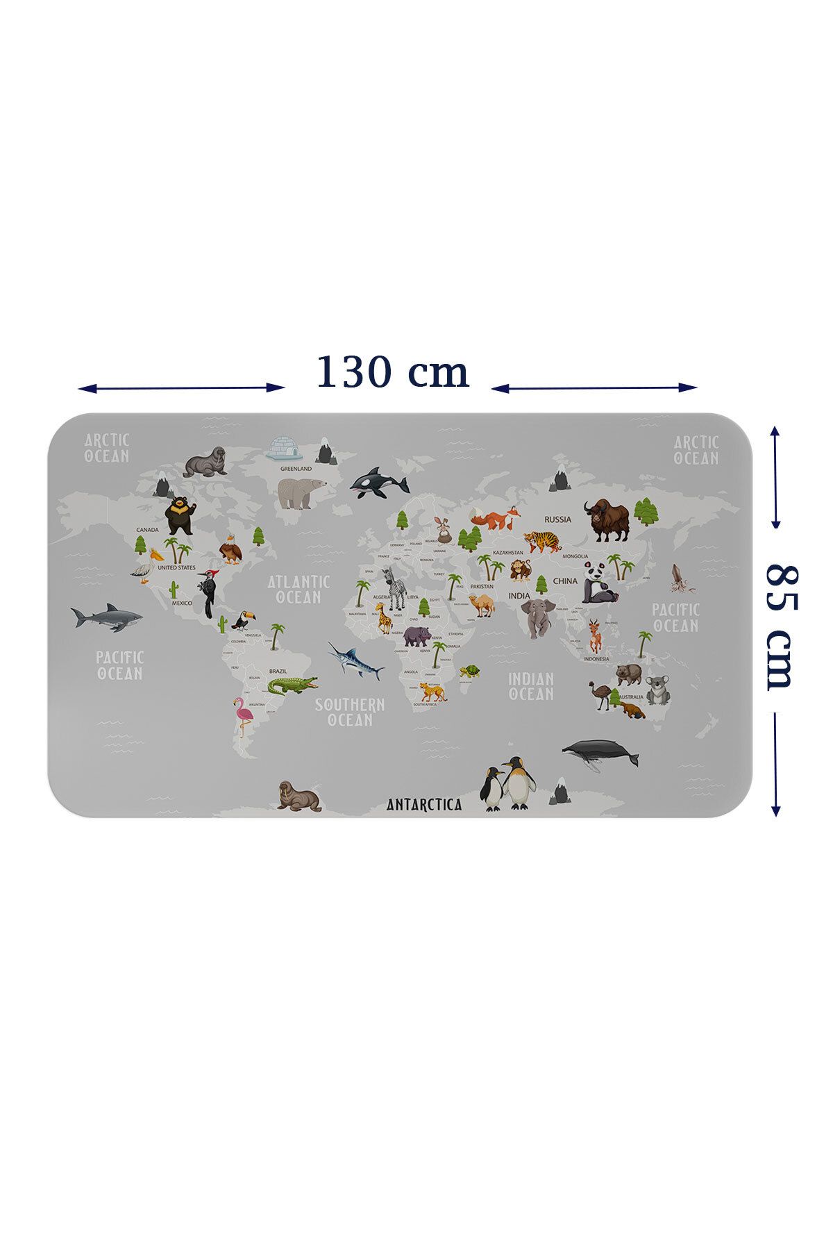 Haye Collection Eğitici Dünya Haritası Dünya Atlası Çocuk ve Bebek Odası Duvar Sticker-85x130-