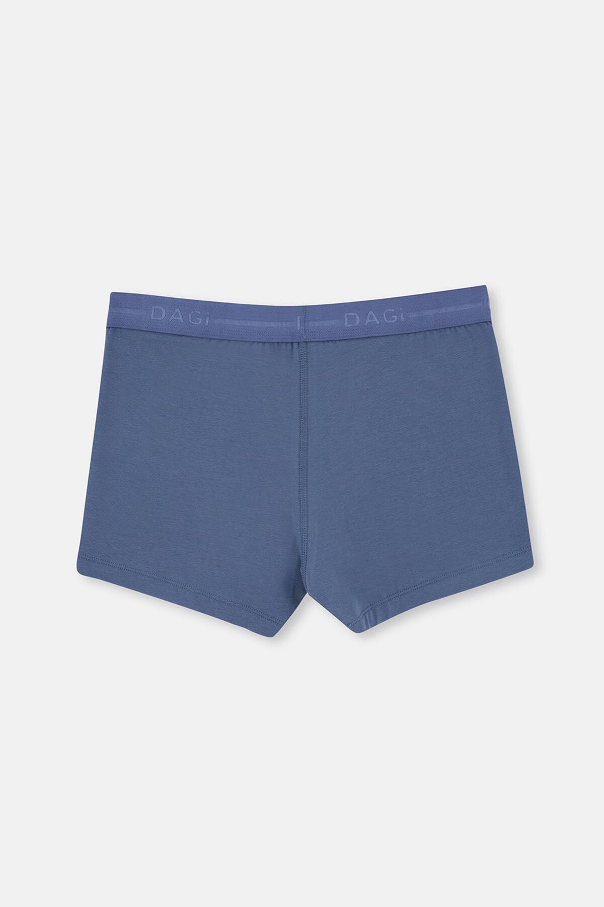 Dagi-Light Blue-Blue 5210 3-Piece Plain Cotton Boxers 3