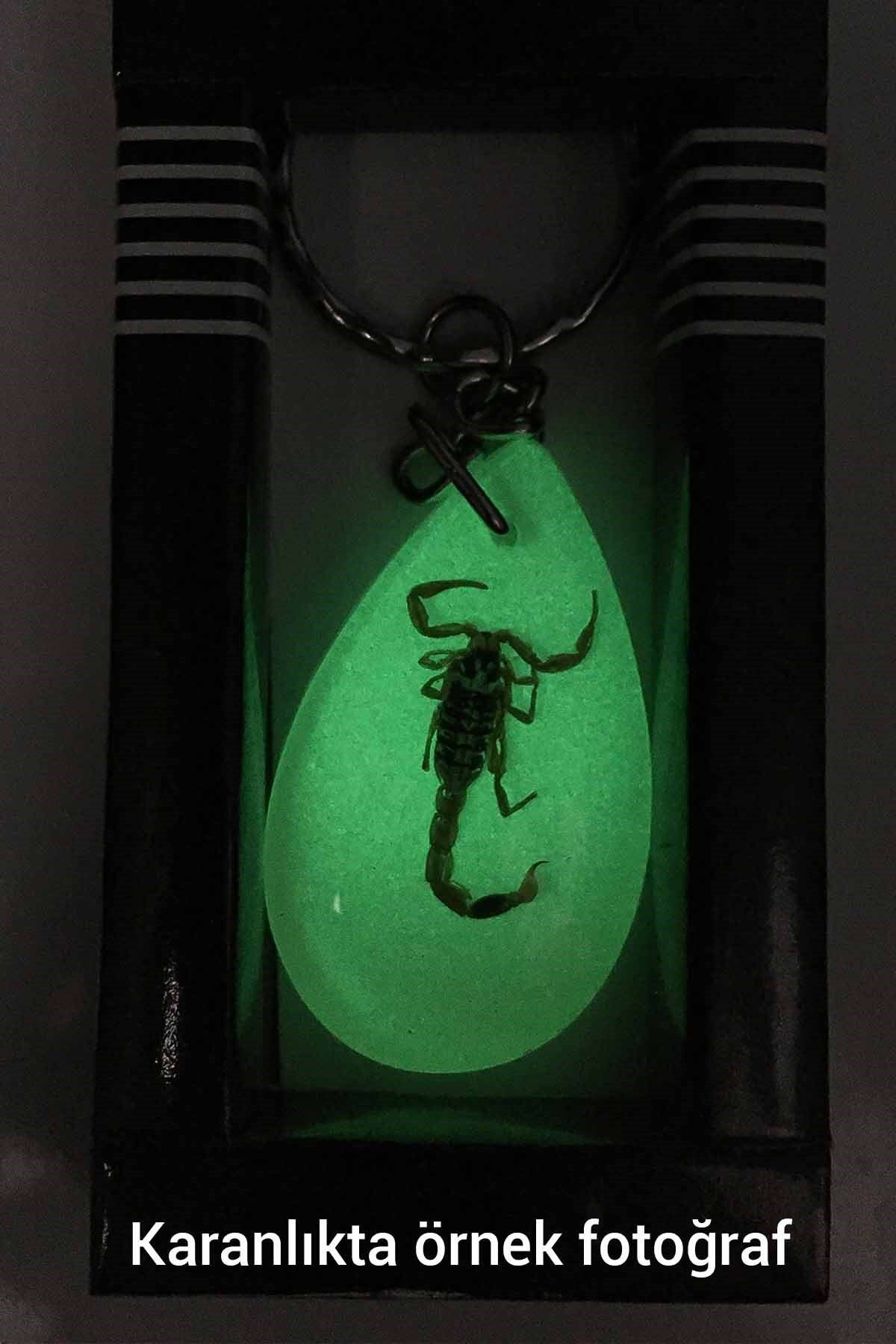 TESBİHKENTİ-Green Color Scorpio Fossil Keychain Model 4 2