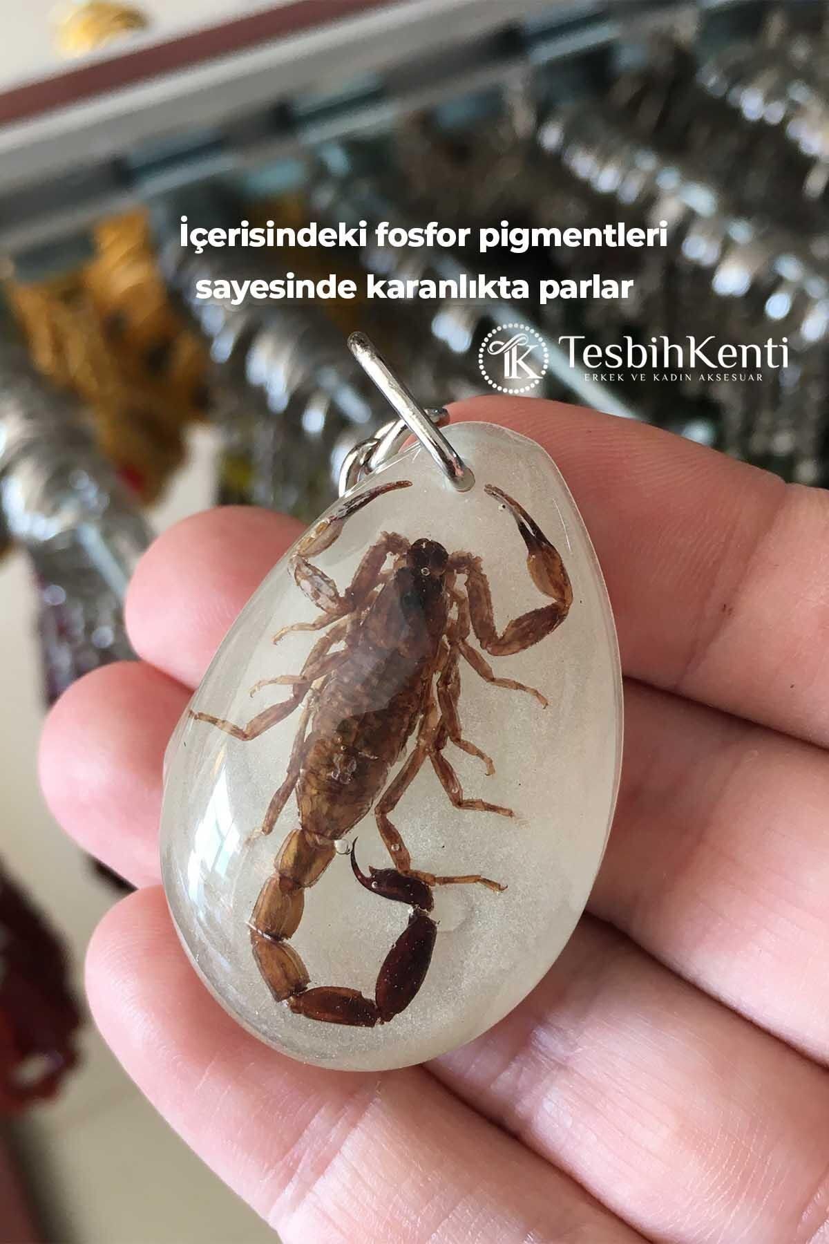 TESBİHKENTİ-Green Color Scorpio Fossil Keychain Model 4 3