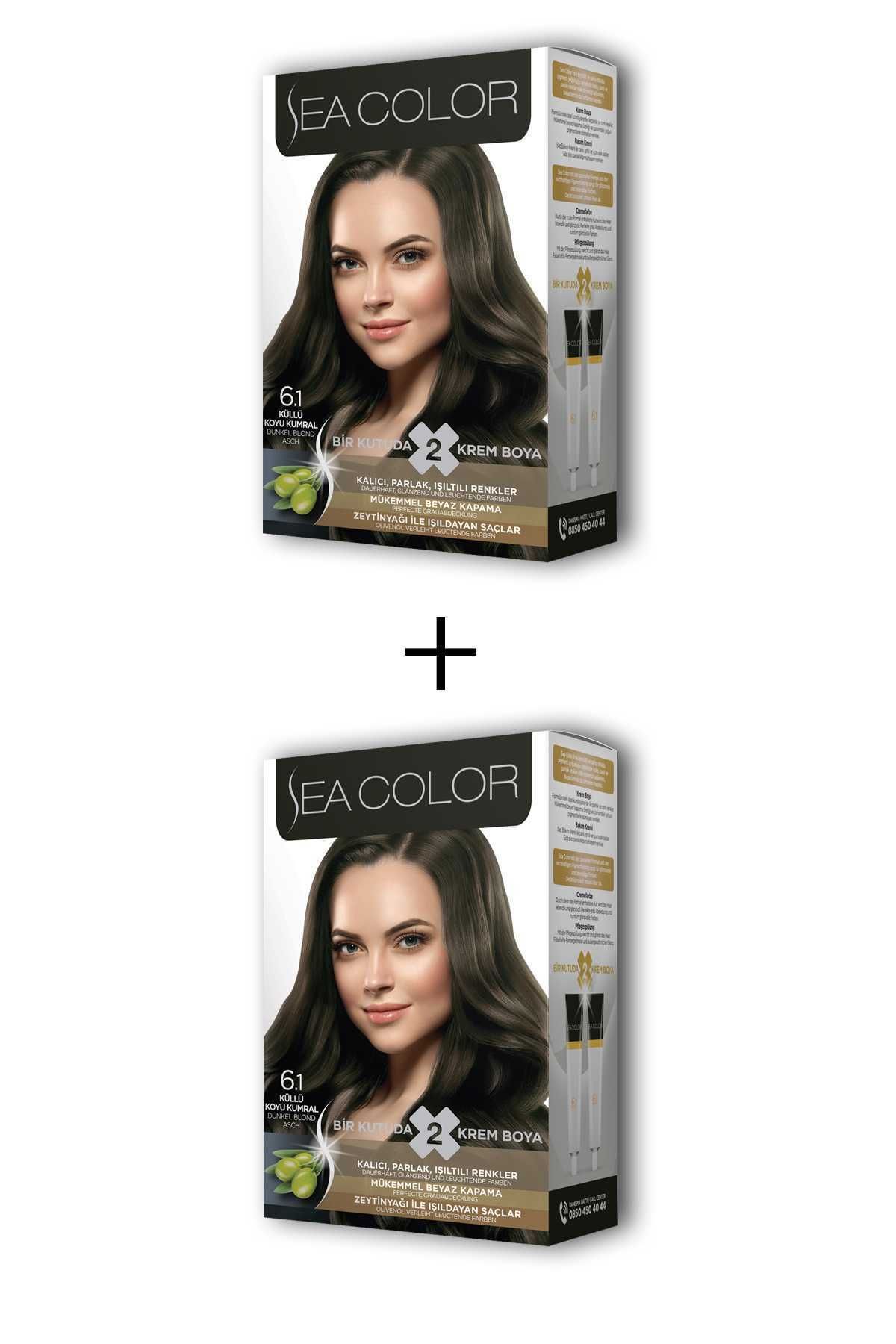 Sea Color 2X2 Tüp Krem Saç Boyası Seti Küllü Koyu Kumral No:6.1