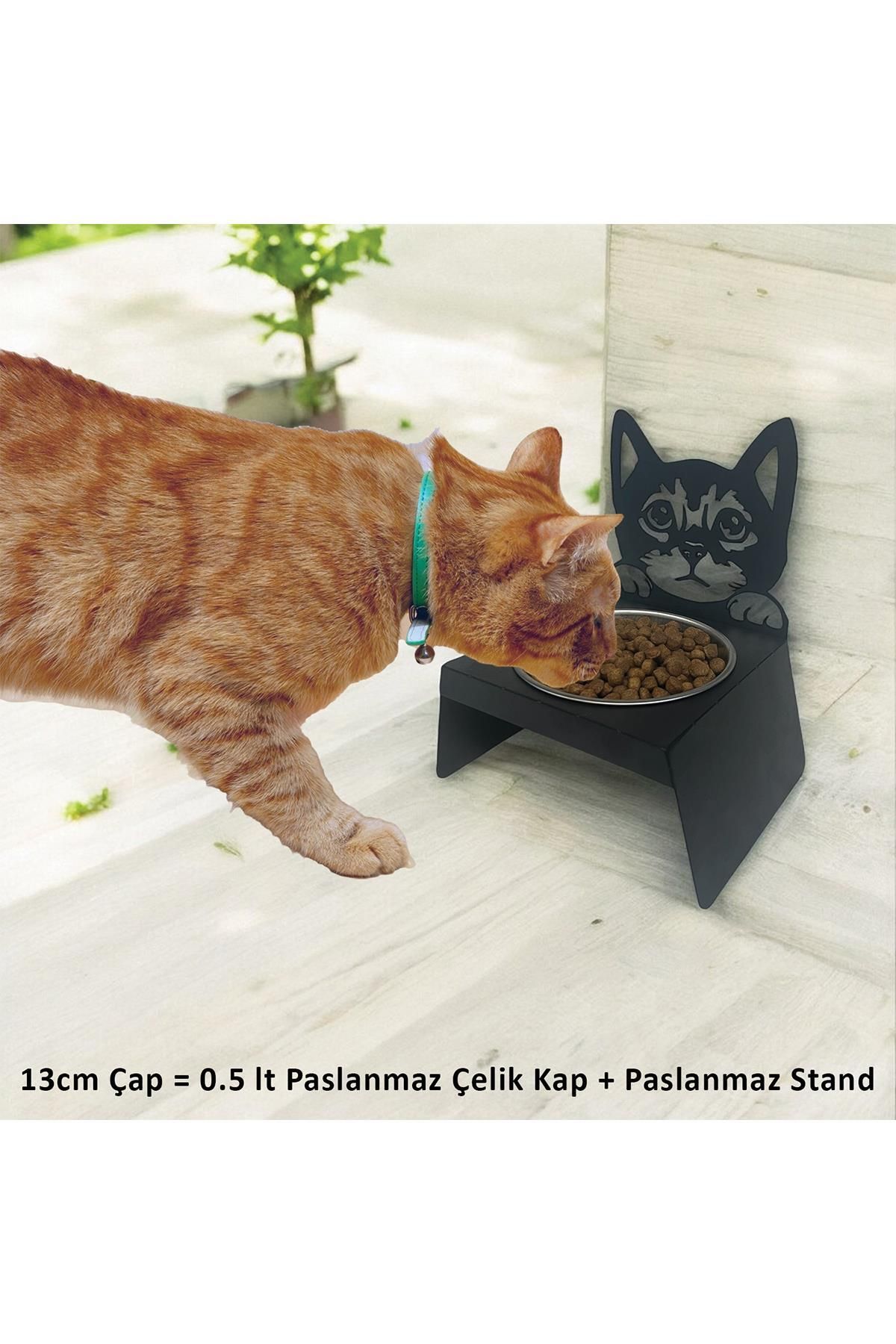 decorelax-Black Cat and Dog Food Water Bowl - Ergonomic Design, Stainless Small Model with Cat Design 2