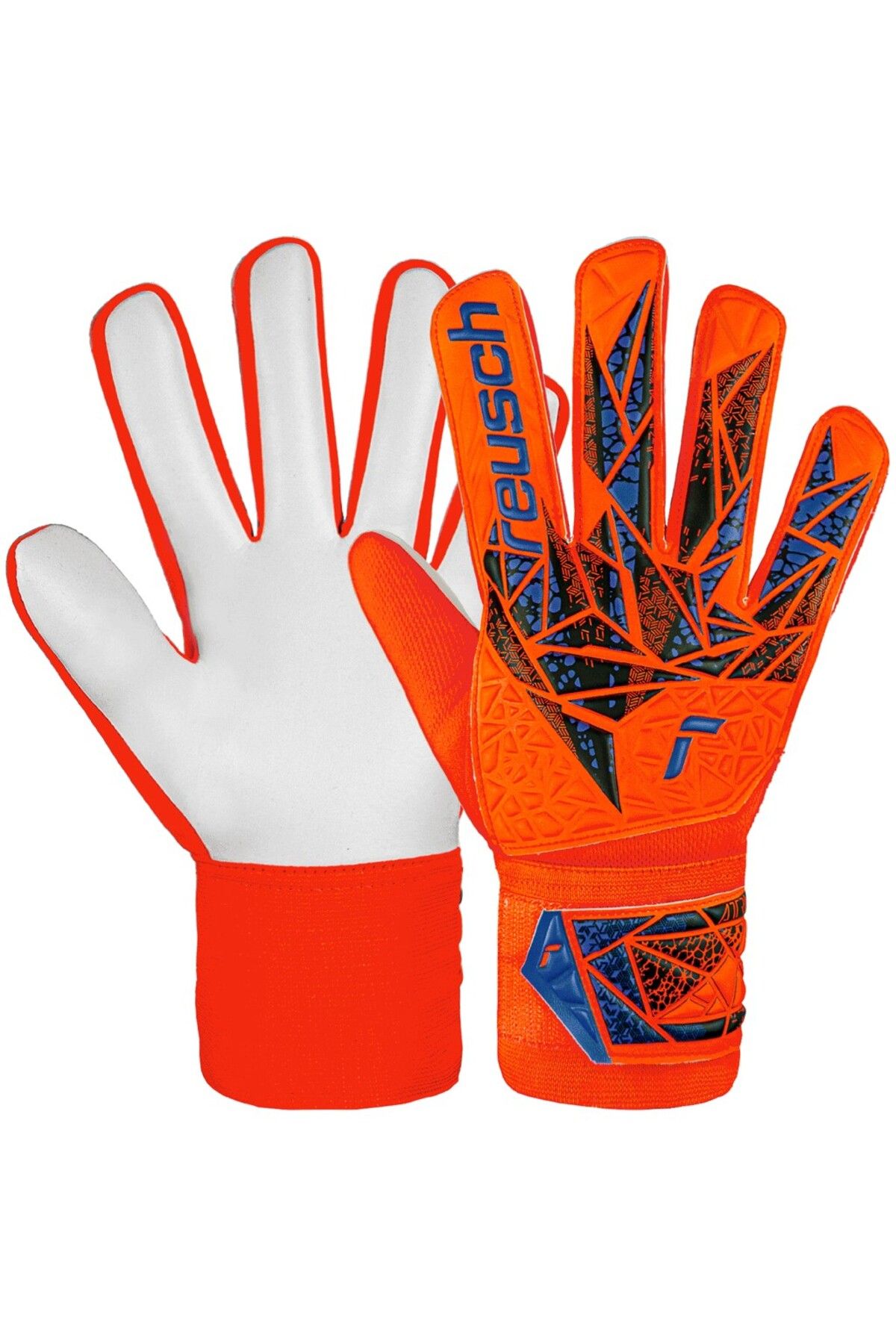 Reusch-Attrakt Starter Solid Purify Gloves 2