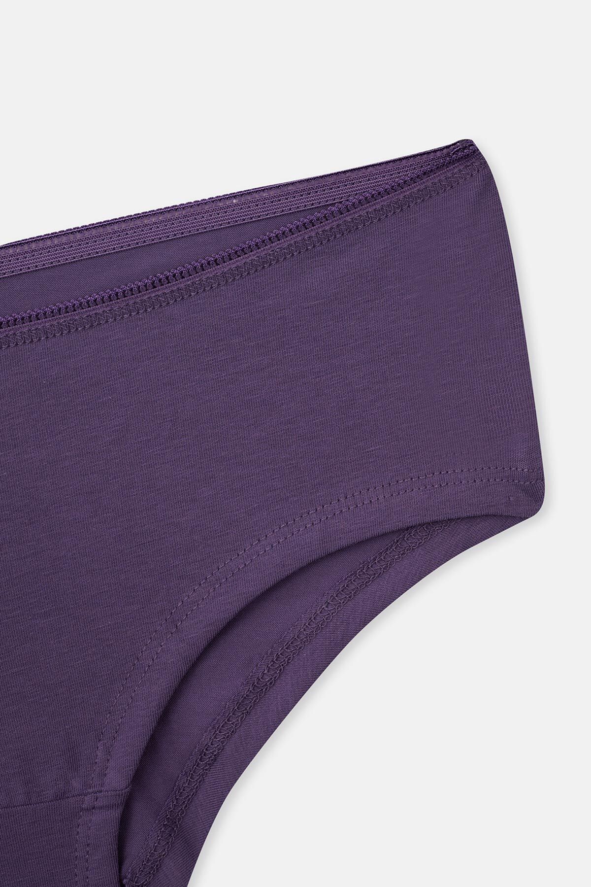 Dagi-Grey-Mint-Purple Women's 3-Piece Plain Hipster Panties 3