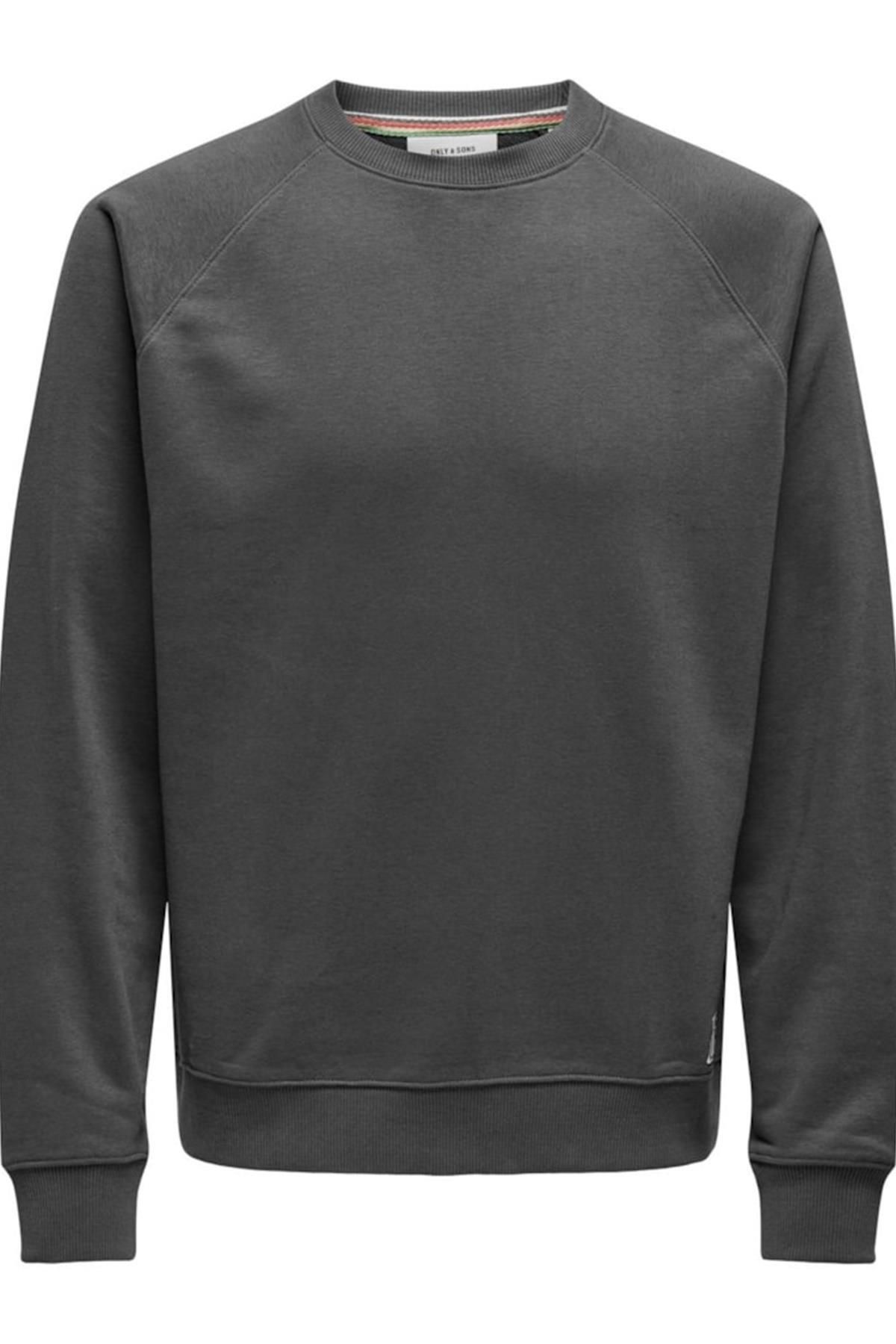 Only & Sons-Onsmichi Life - Reg Crew Neck Sweatshirt Gray 22030618 3