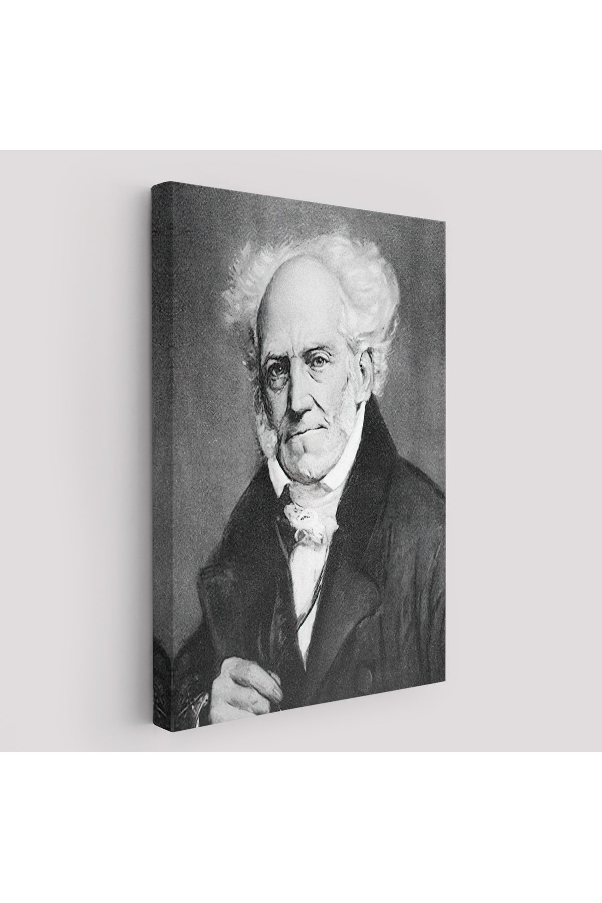 Yarımada Bahçe YB Arthur Schopenhauer Tablosu -6266