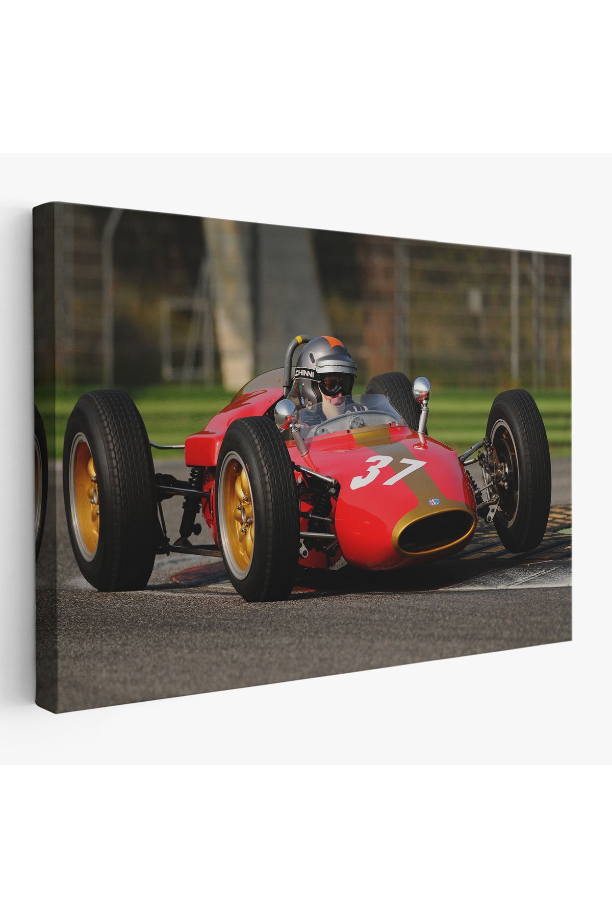bluvex Imola İtalya, Luigi Musso Tarihi GP 2012, Heron Alfa Romeo F1 Sürücüsü-3719