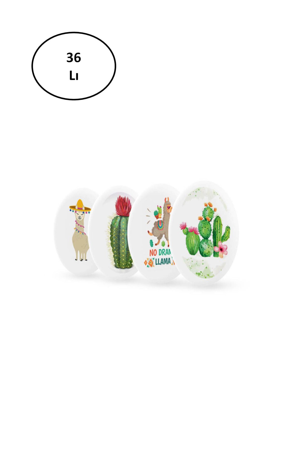 Angoravi Silka Silgi Lama-Cactus Serisi SG.22 36'lı