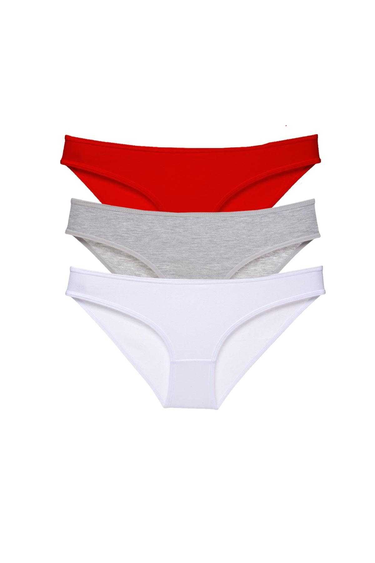 Angoravi 3 adet Süper Eko Set Likralı Kadın Slip Külot 542