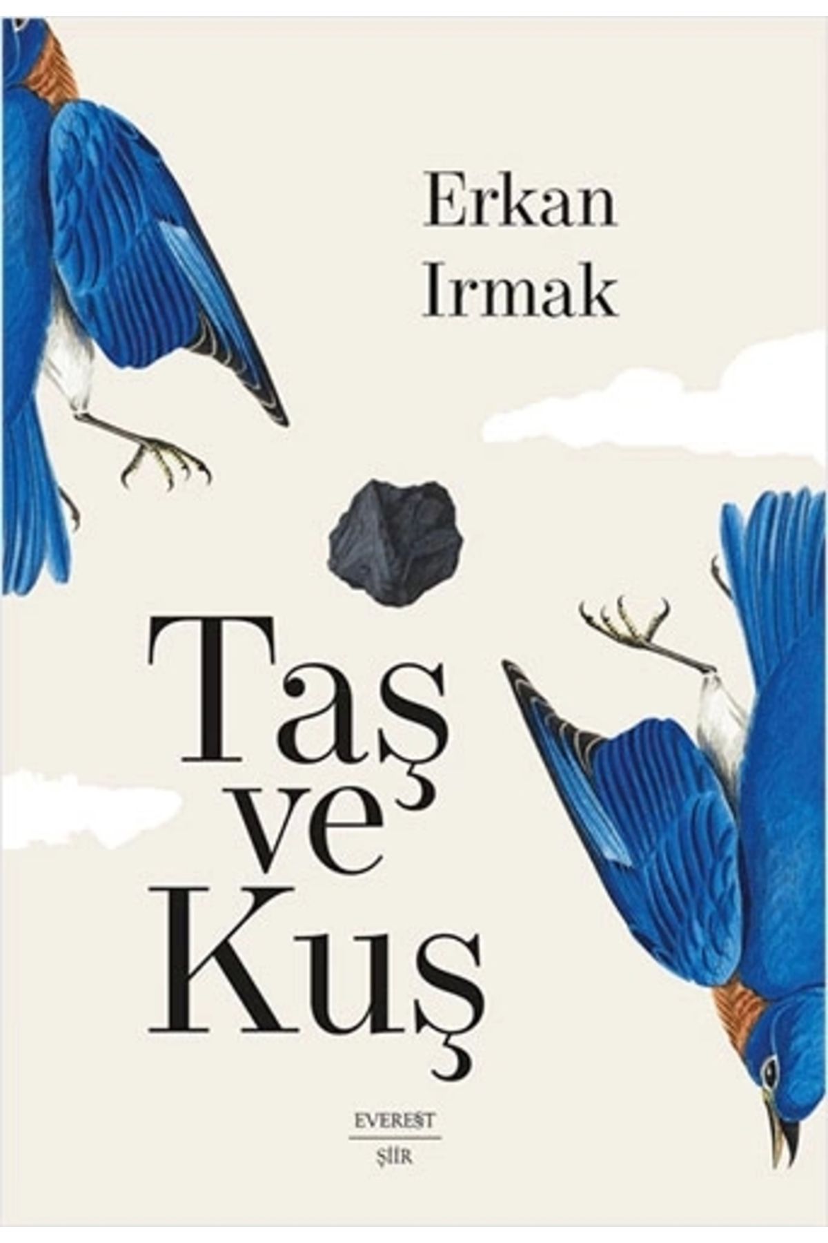 Zahrada Yayınları Taş ve Kuş