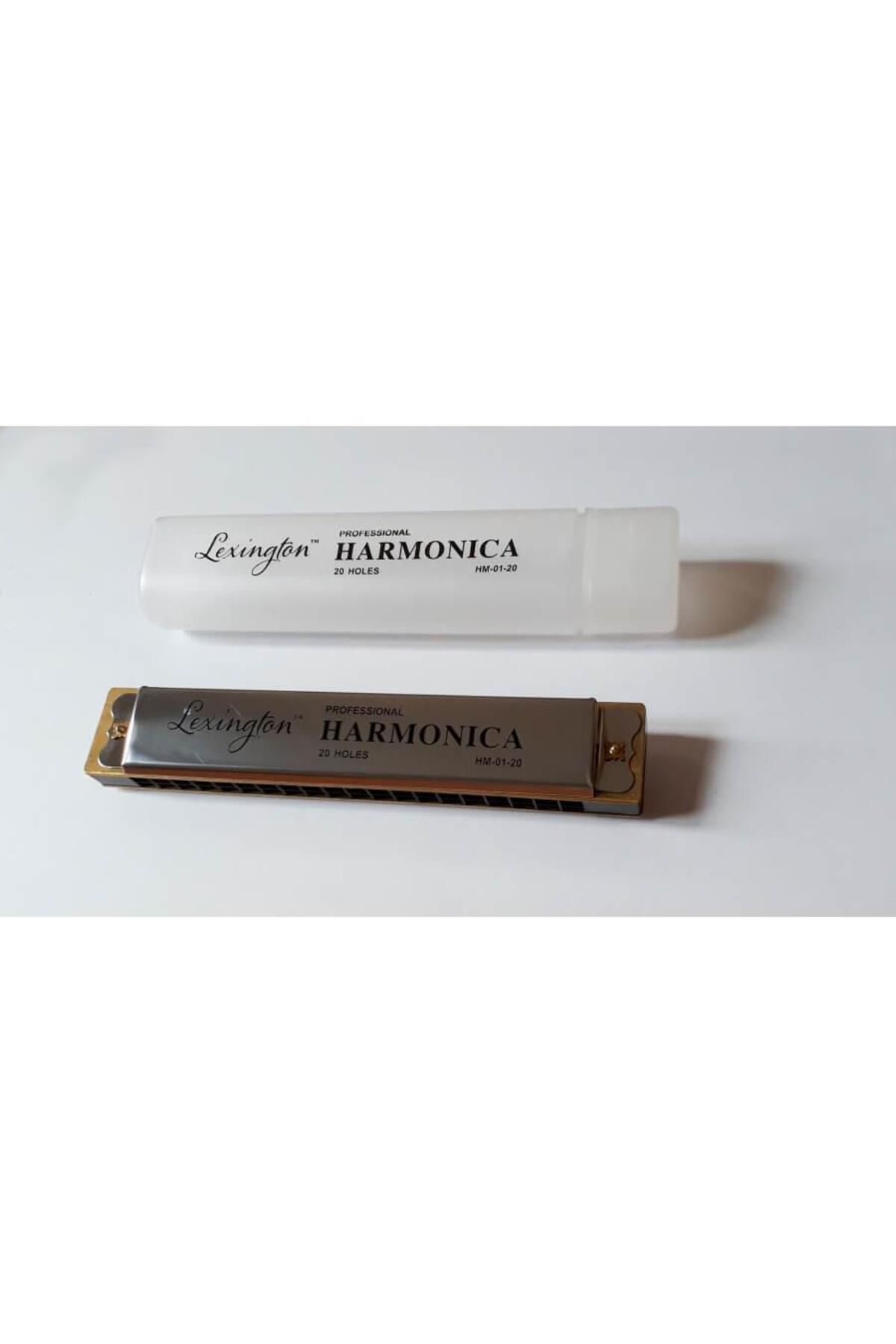 CREMONIA Hm0120 Professional Harmonica Mızıka 20 Delikli