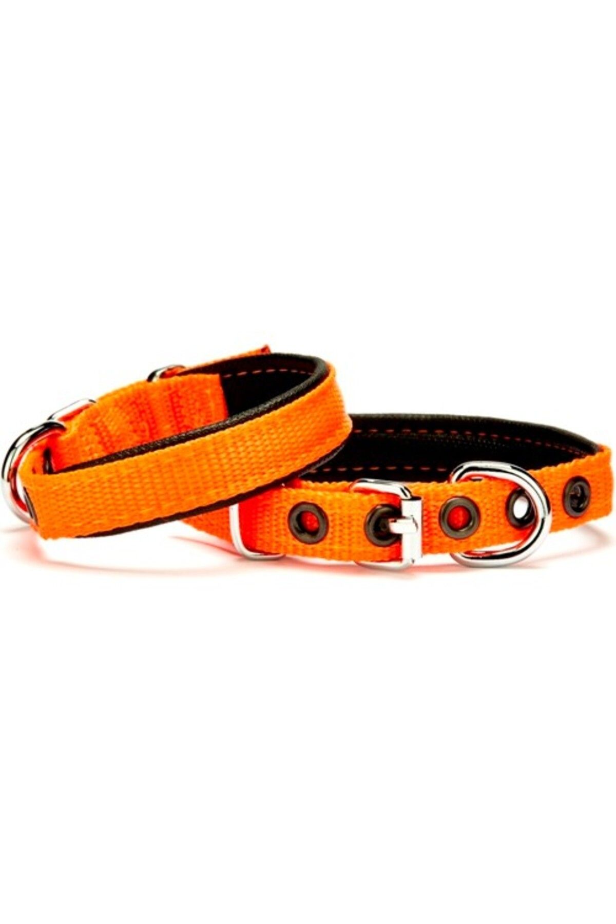 OEM Softlu Köpek Boyun Tasması 1,5 cm x 30 cm Turuncu