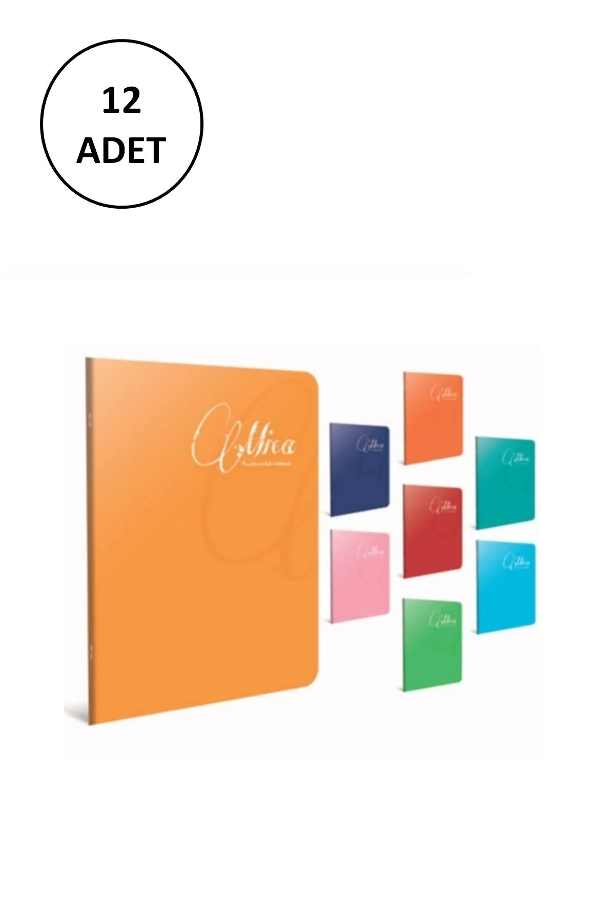 biltekno Gıpta Mica A4 Tel Dikişli Pp Kapak Defter 80 Yaprak Kareli (12 Li Paket)