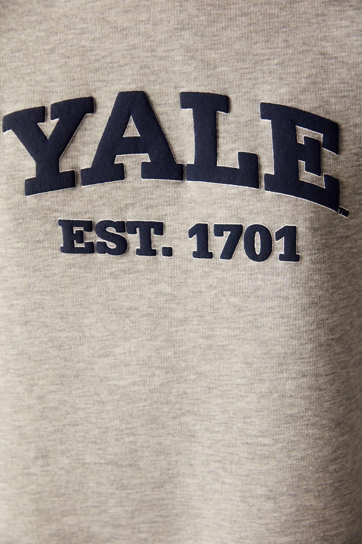 Penti-Yale Slogan Printed Colorful Sweatshirt -Unique Collection 5