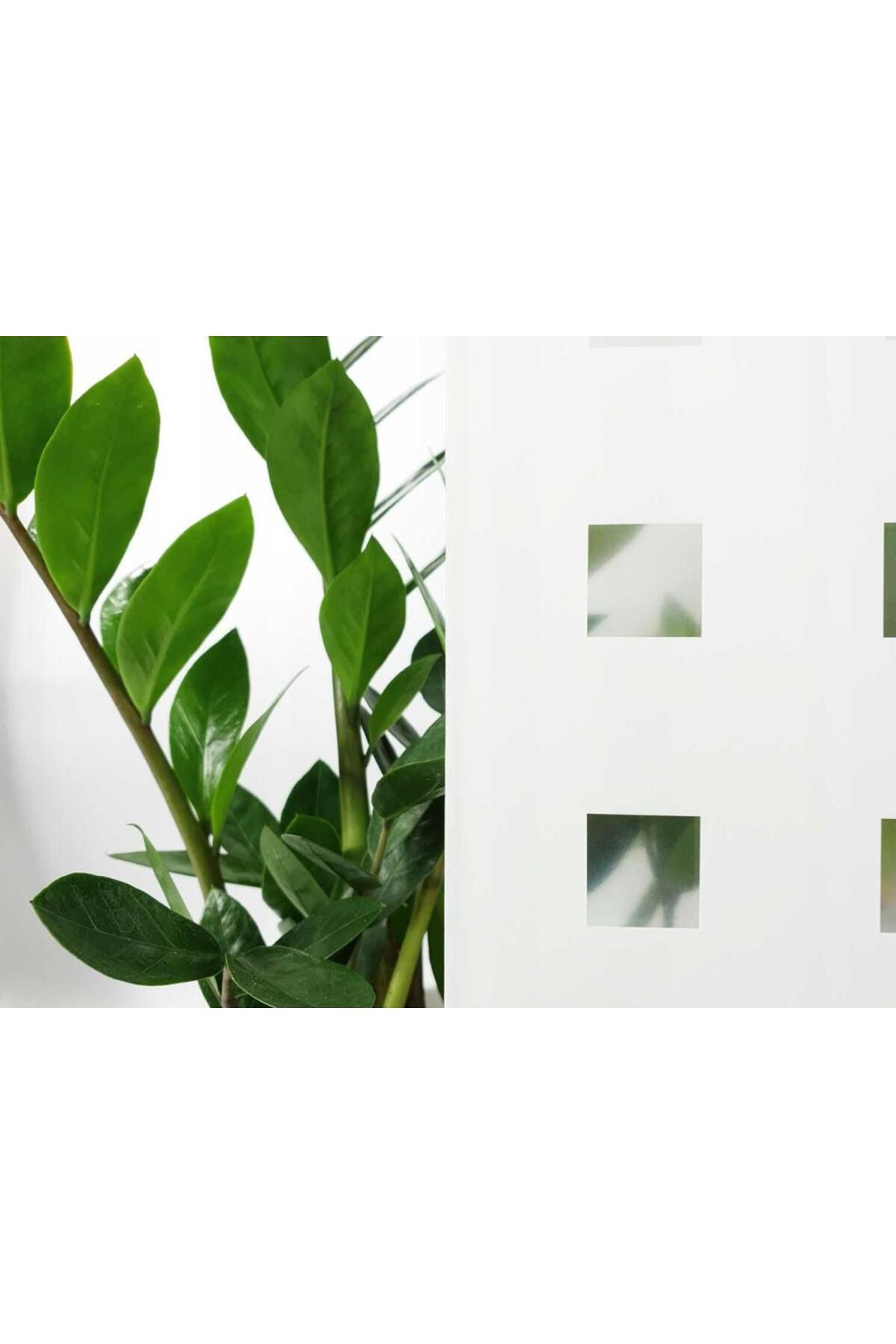d-c-fix-334-0007 Square Pattern Static Glass Foil (45CM X 1MT) 6