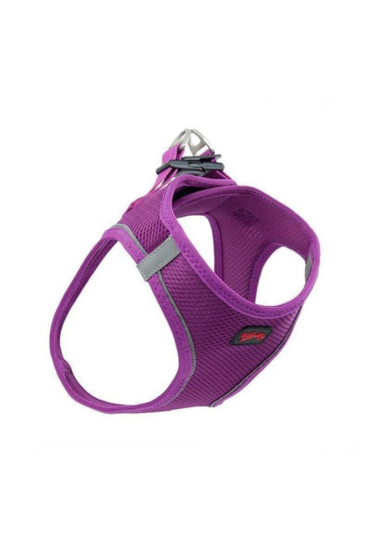 OEM Köpek Göğüs Tasması XSmall 32x36 cm Mor