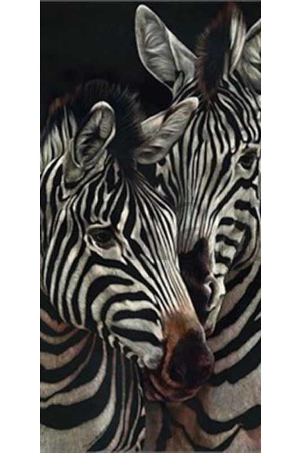 pixartsanat İki Zebra Pixart Sanat Elmas Mozik Tablo Daimond Türkiye 22*42